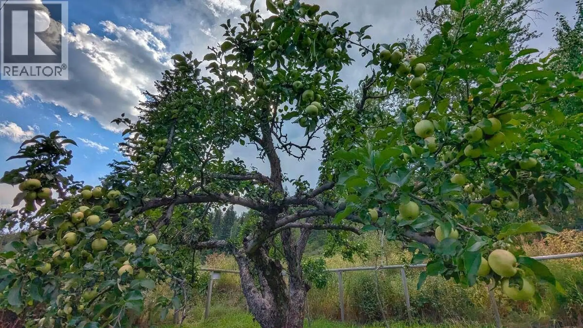 Property at 2107 HIGHWAY 3 S, Fernie, BC