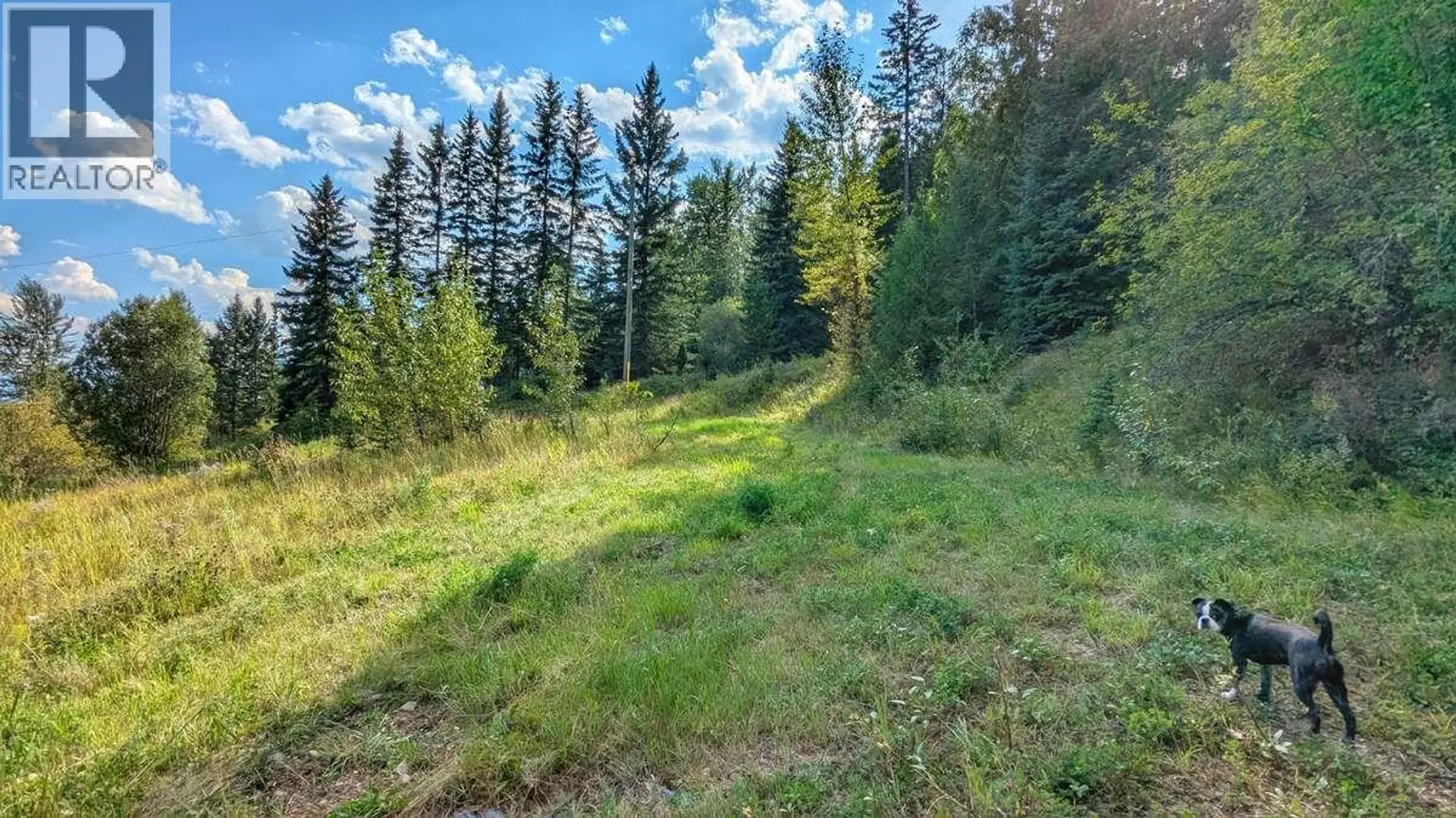 Property at 2107 HIGHWAY 3 S, Fernie, BC