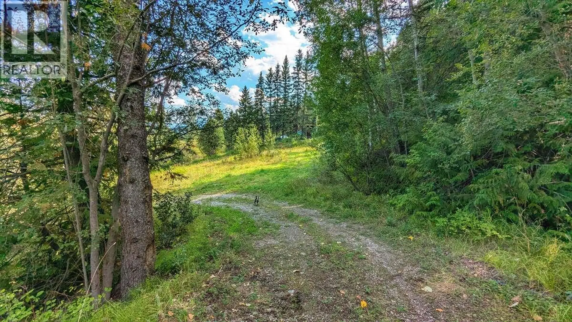 Property at 2107 HIGHWAY 3 S, Fernie, BC