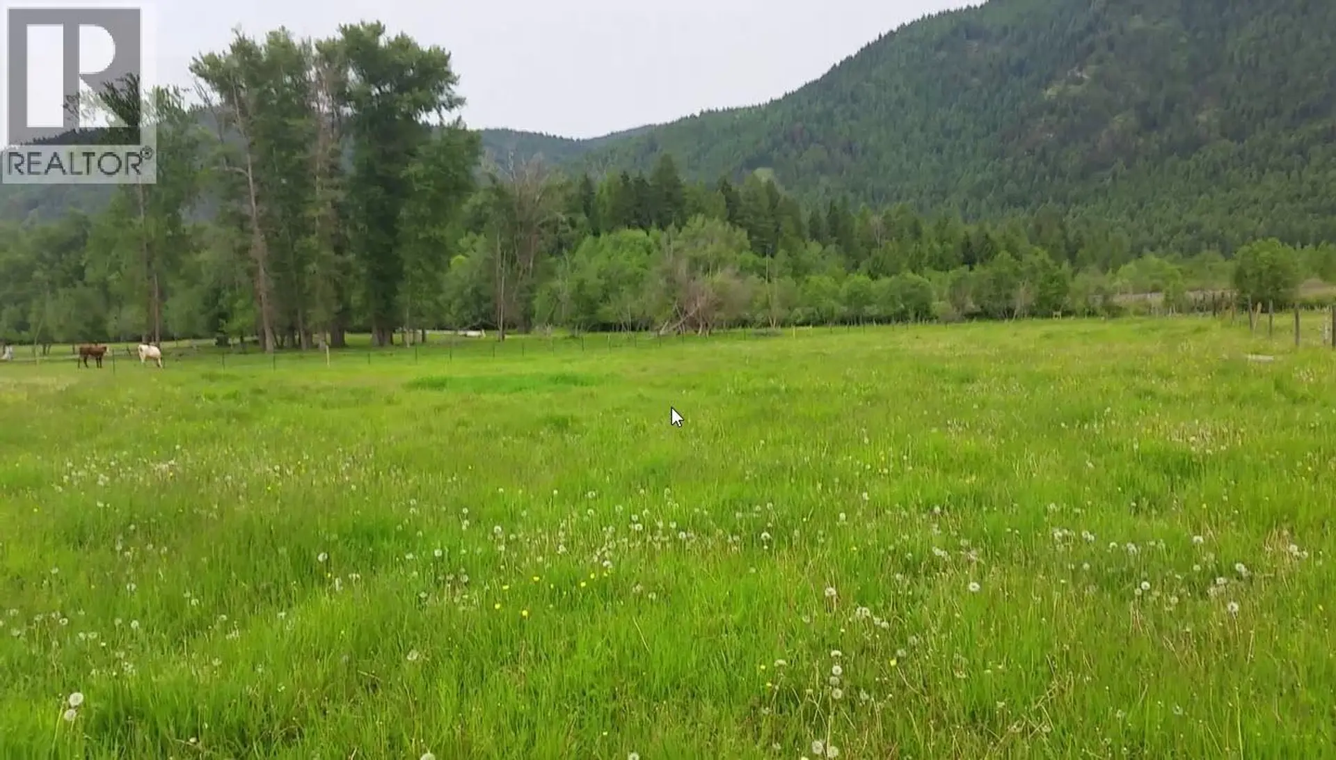 Property at 1400 MANLY MEADOWS ROAD, Grand Forks, BC