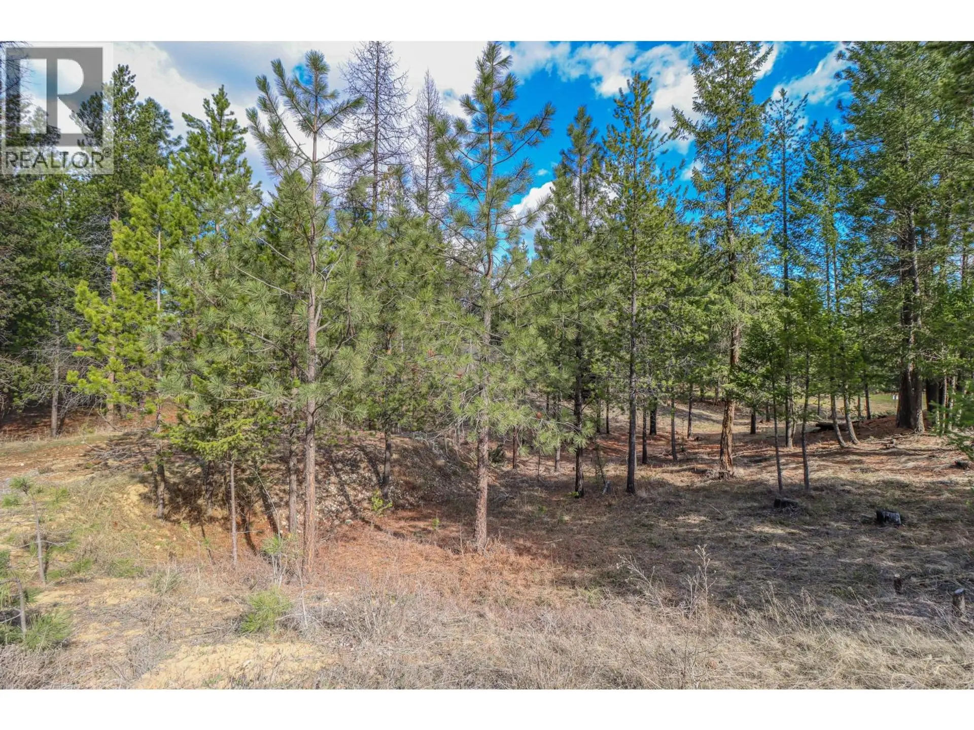 Property at 333 CORRAL CLOSE, Cranbrook, BC