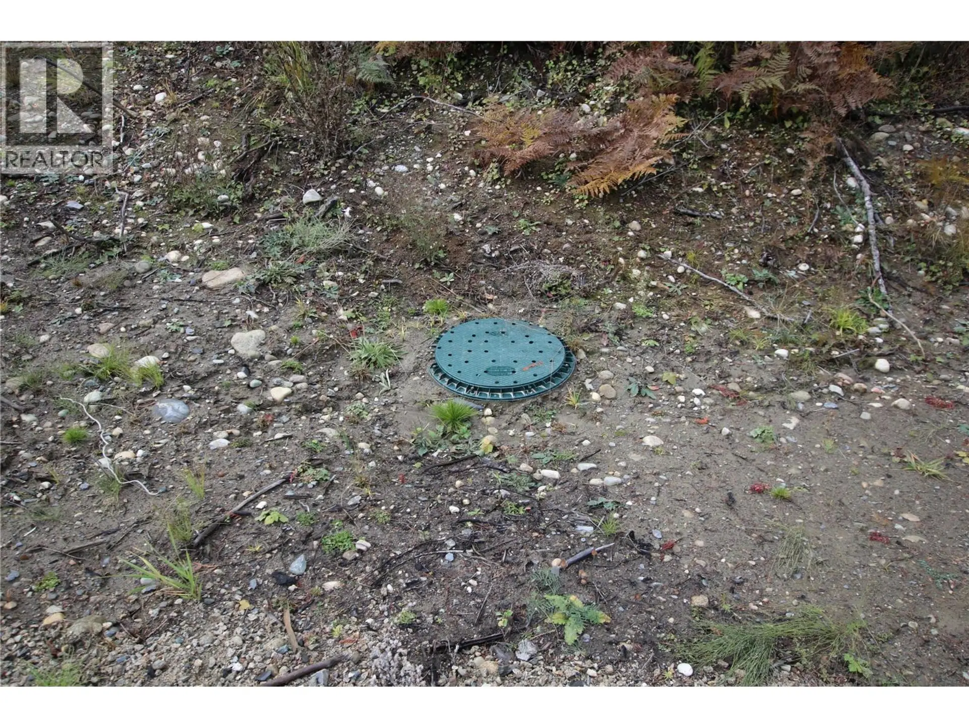 Property at LOT 1 BROUSE LOOP ROAD, Nakusp, BC