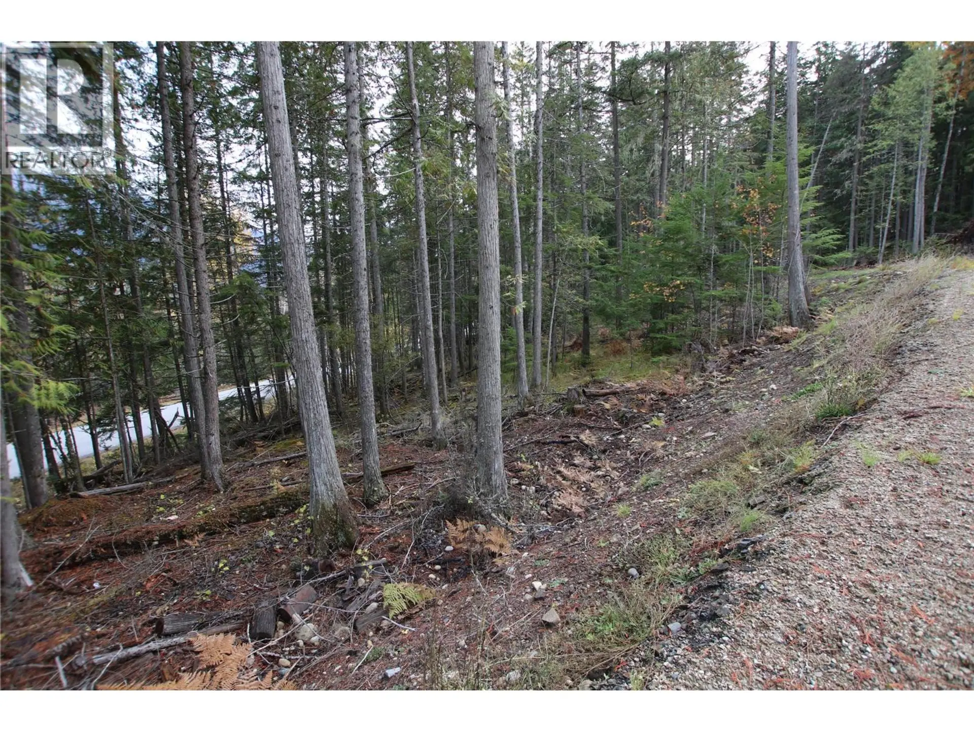 Property at LOT 1 BROUSE LOOP ROAD, Nakusp, BC