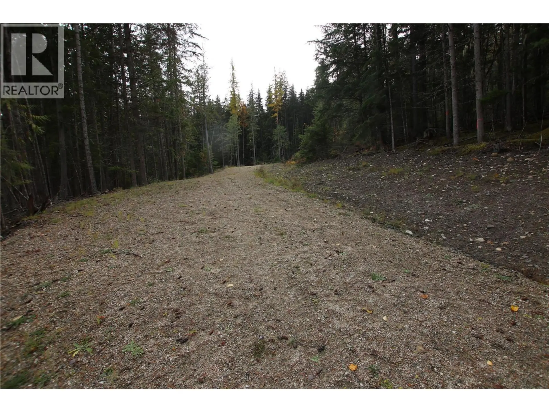Property at LOT 1 BROUSE LOOP ROAD, Nakusp, BC