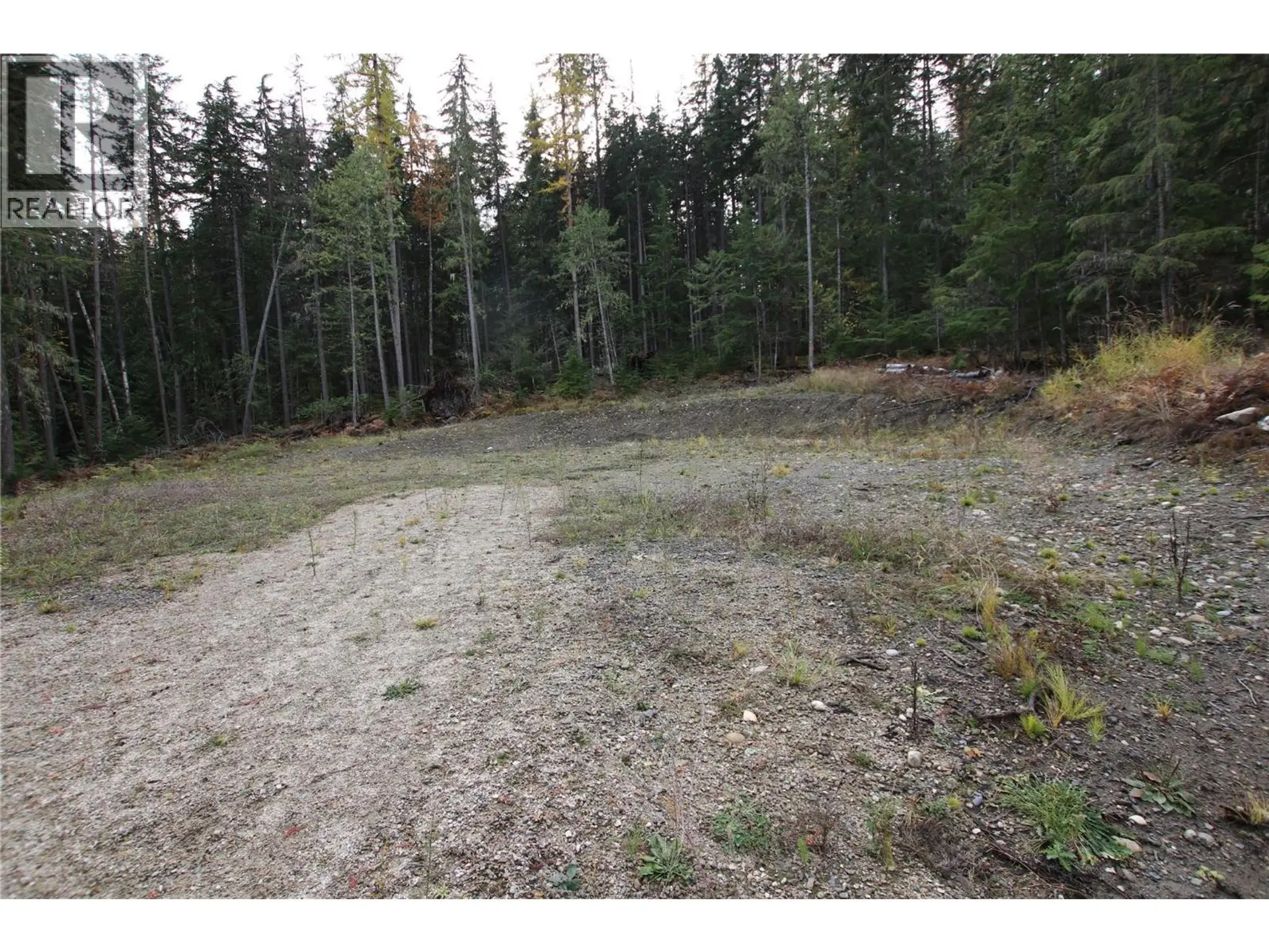 Property at LOT 1 BROUSE LOOP ROAD, Nakusp, BC