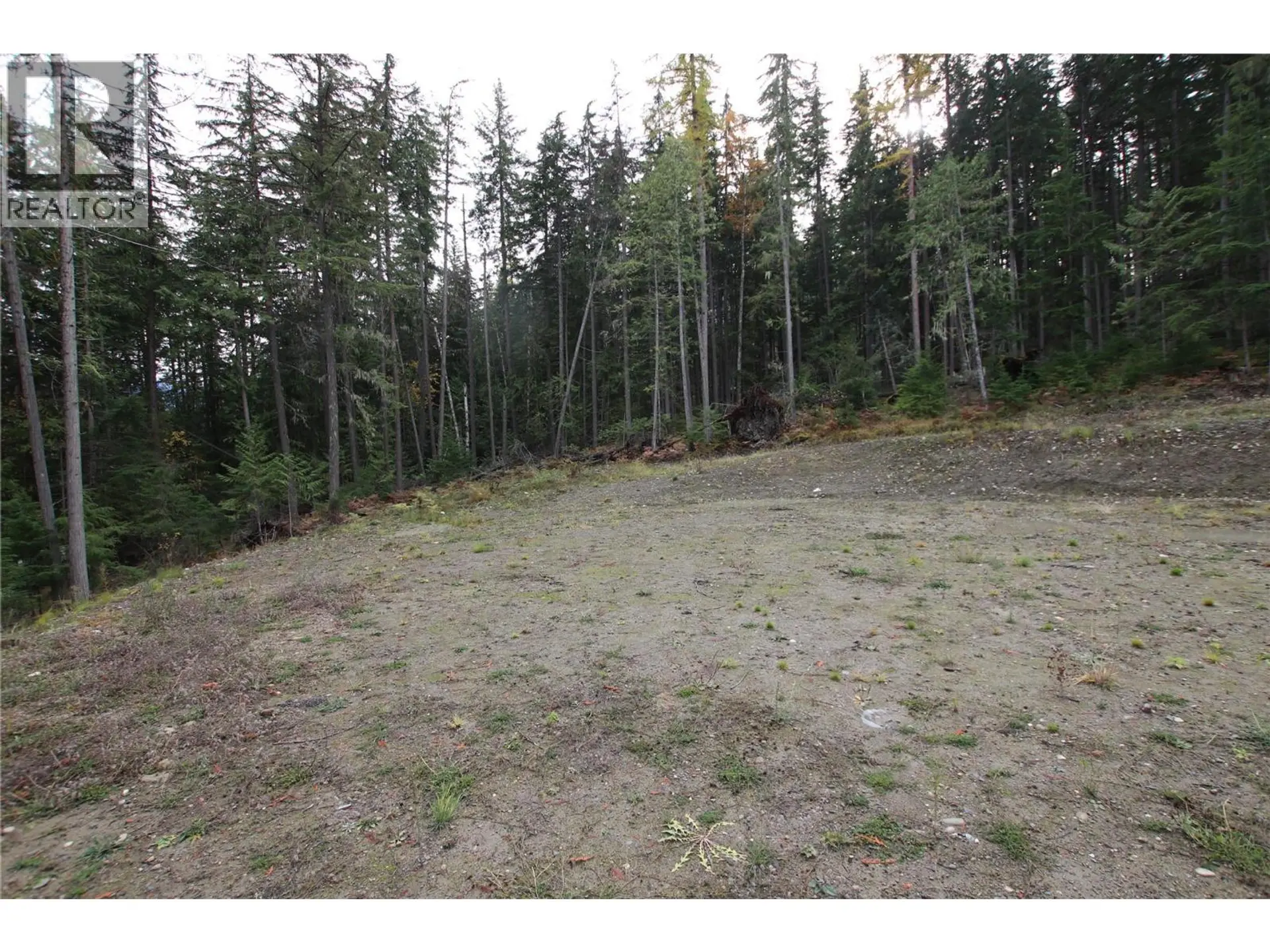 Property at LOT 1 BROUSE LOOP ROAD, Nakusp, BC