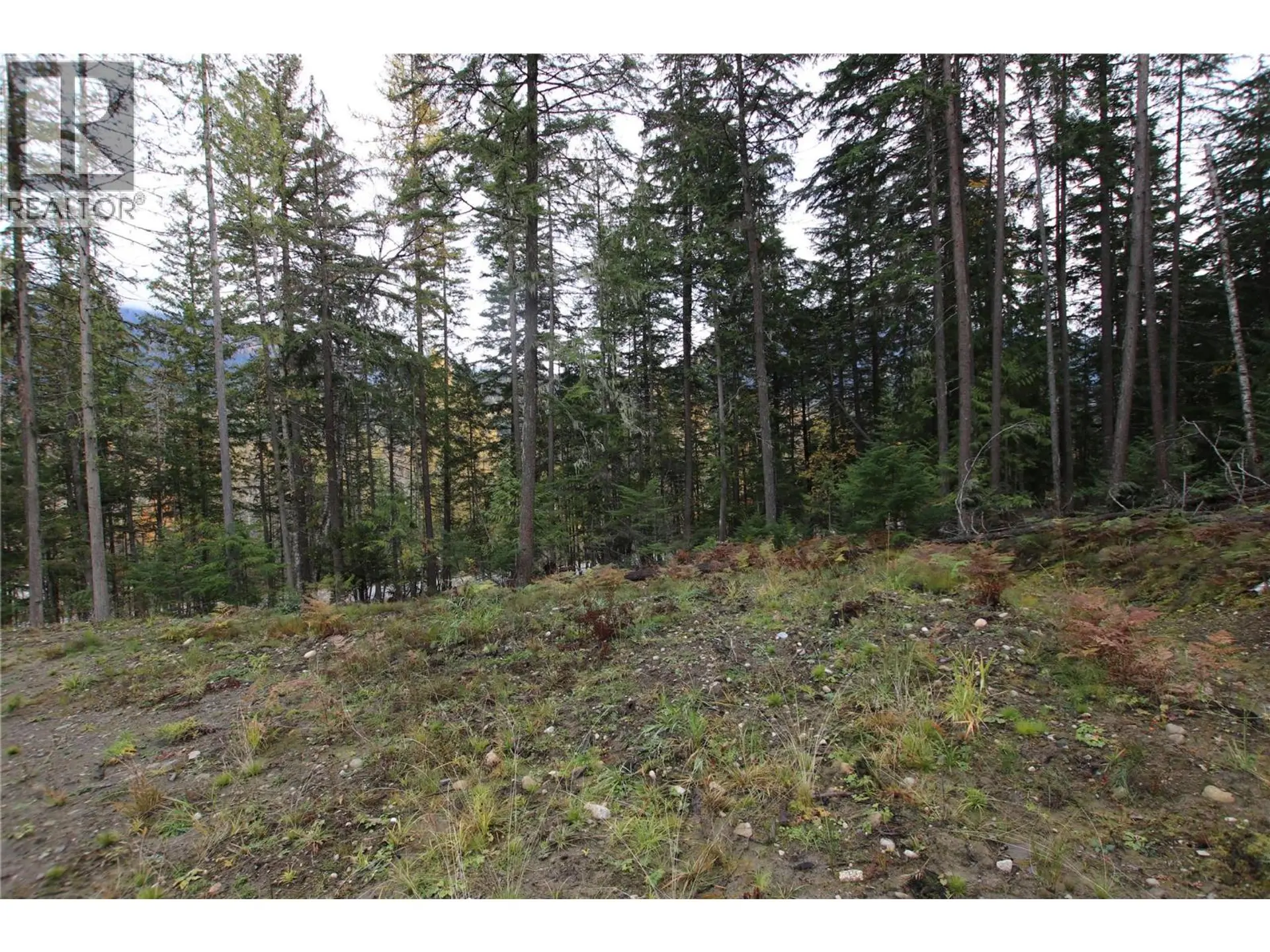 Property at LOT 1 BROUSE LOOP ROAD, Nakusp, BC