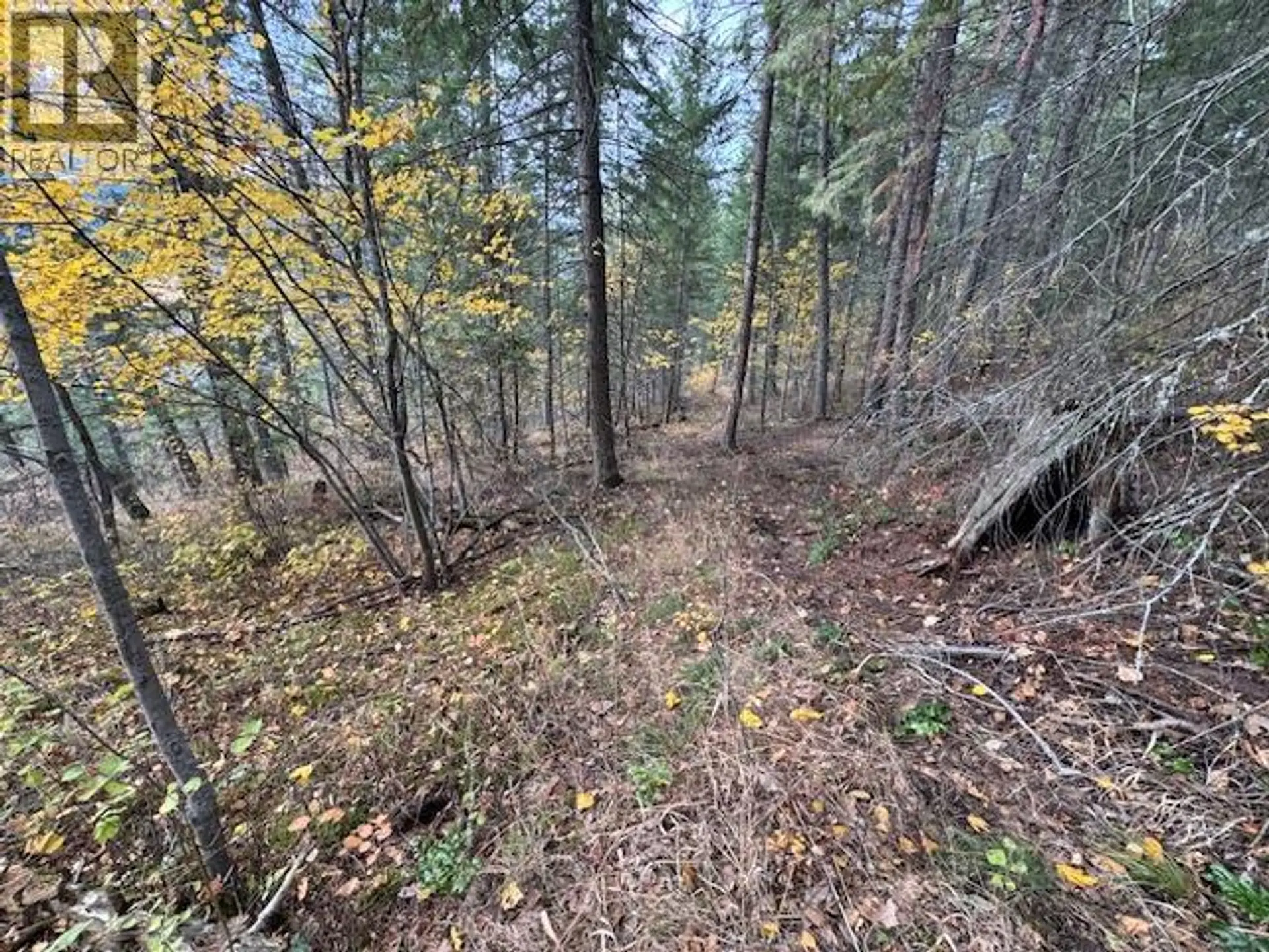 Property at 490 SUMAC ROAD, Tappen, BC