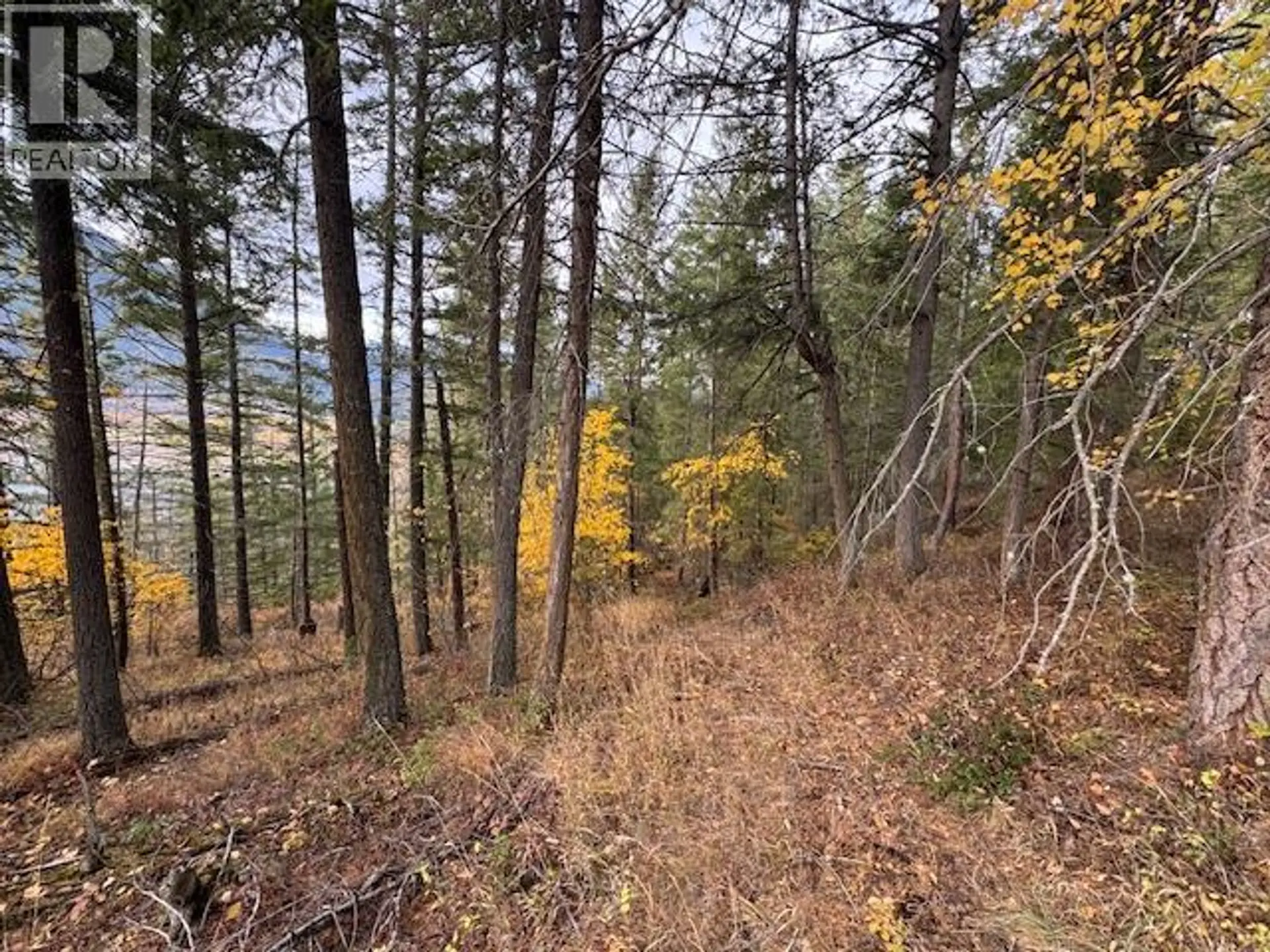 Property at 490 SUMAC ROAD, Tappen, BC