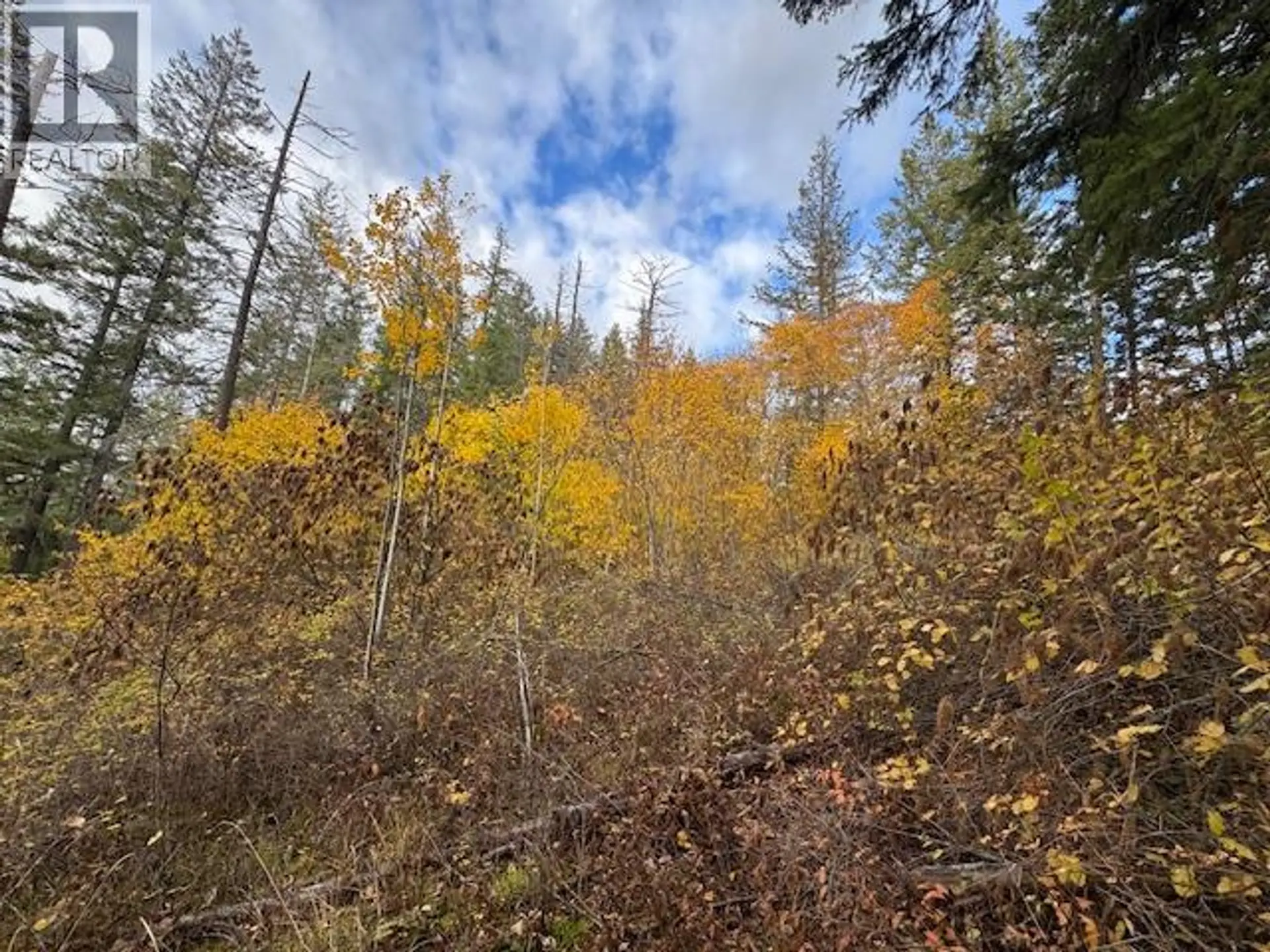 Property at 490 SUMAC ROAD, Tappen, BC