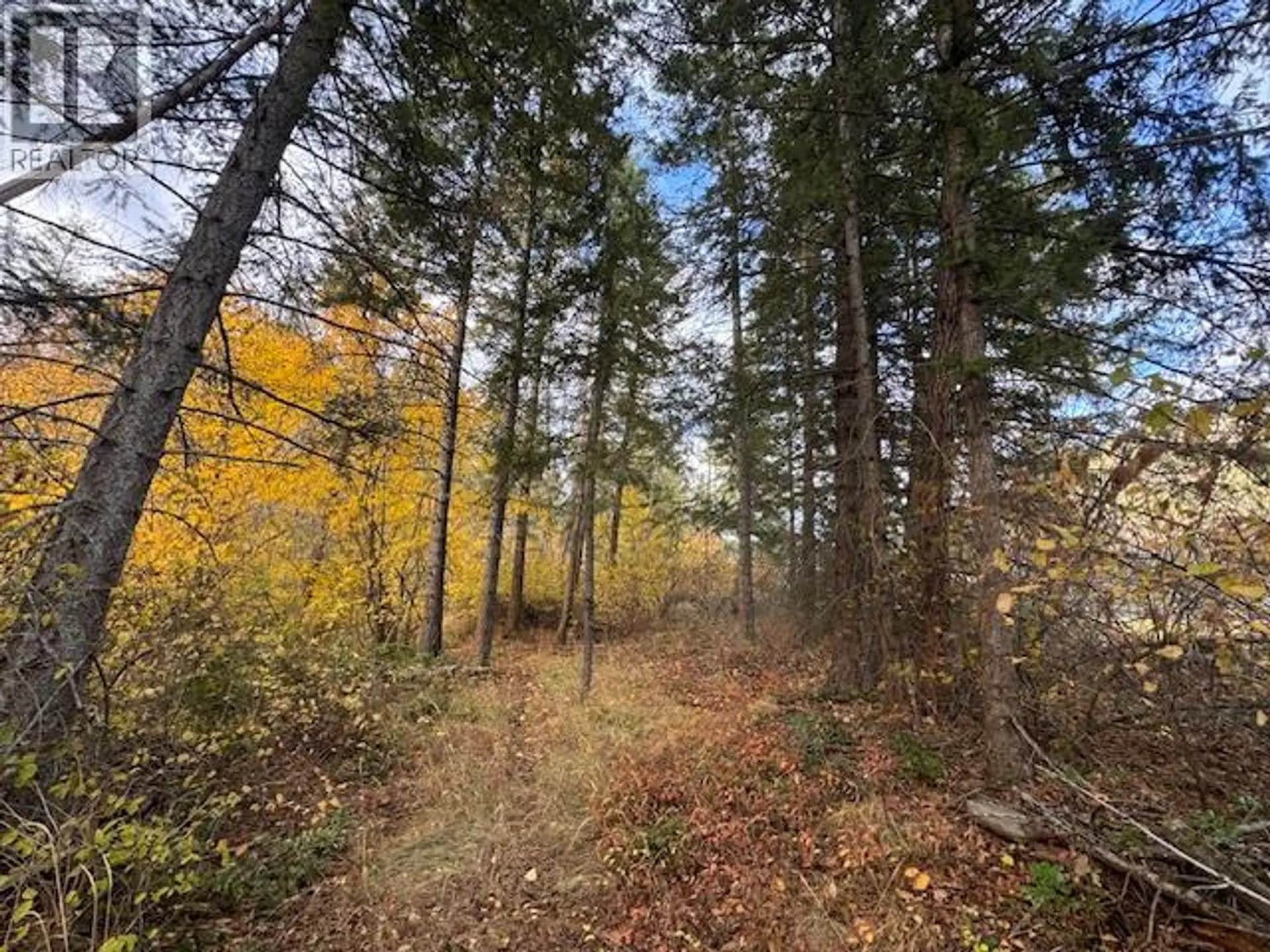 Property at 490 SUMAC ROAD, Tappen, BC