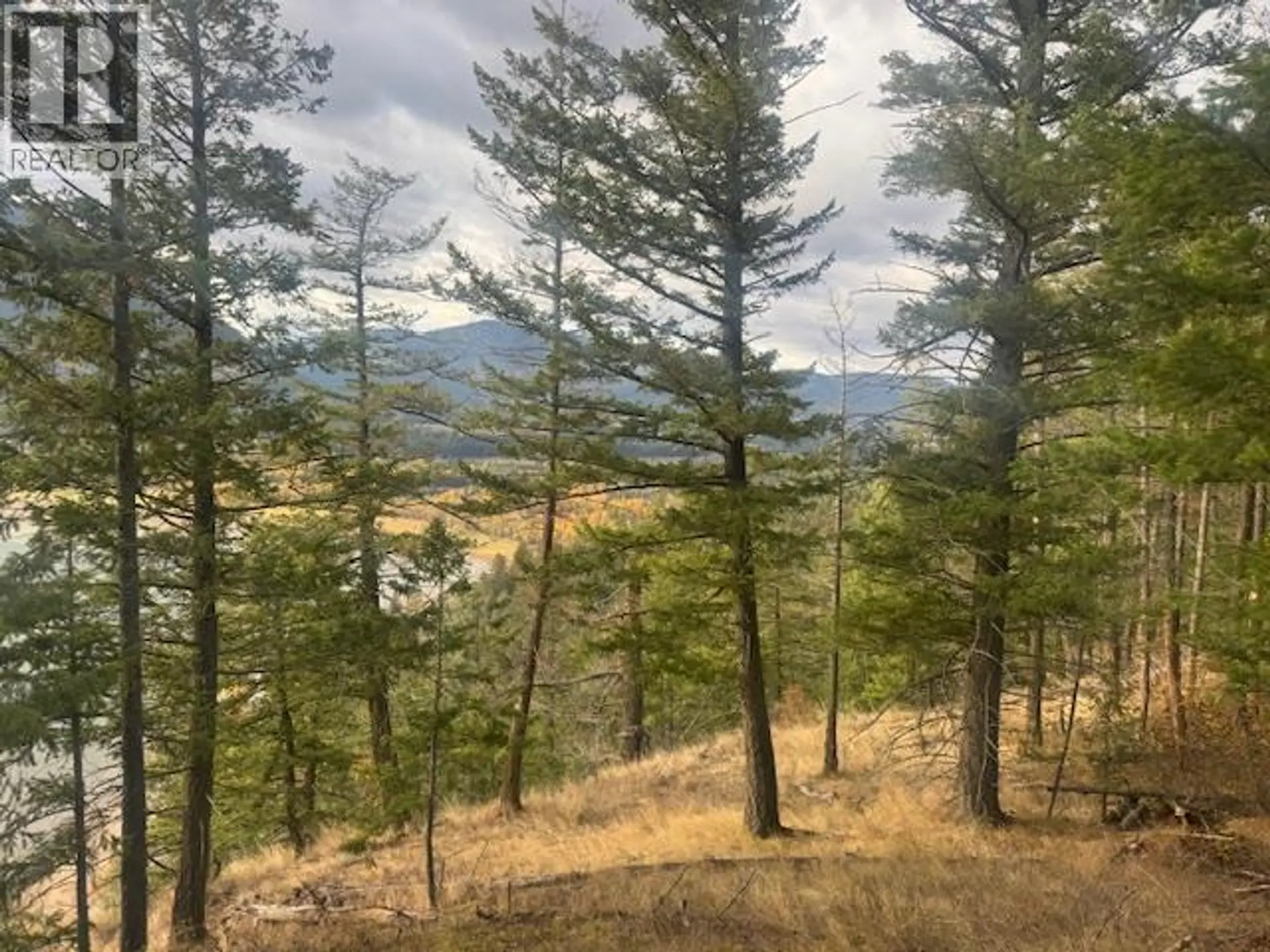 Property at 490 SUMAC ROAD, Tappen, BC