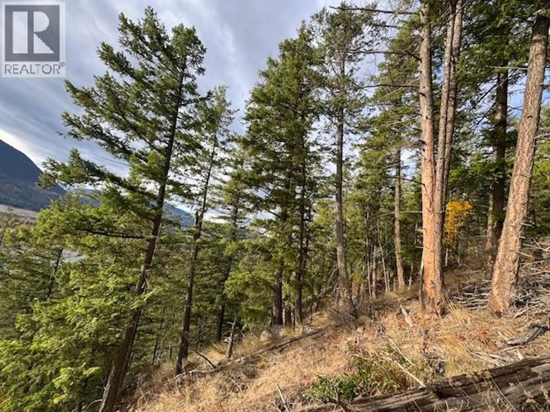 Property at 490 SUMAC ROAD, Tappen, BC