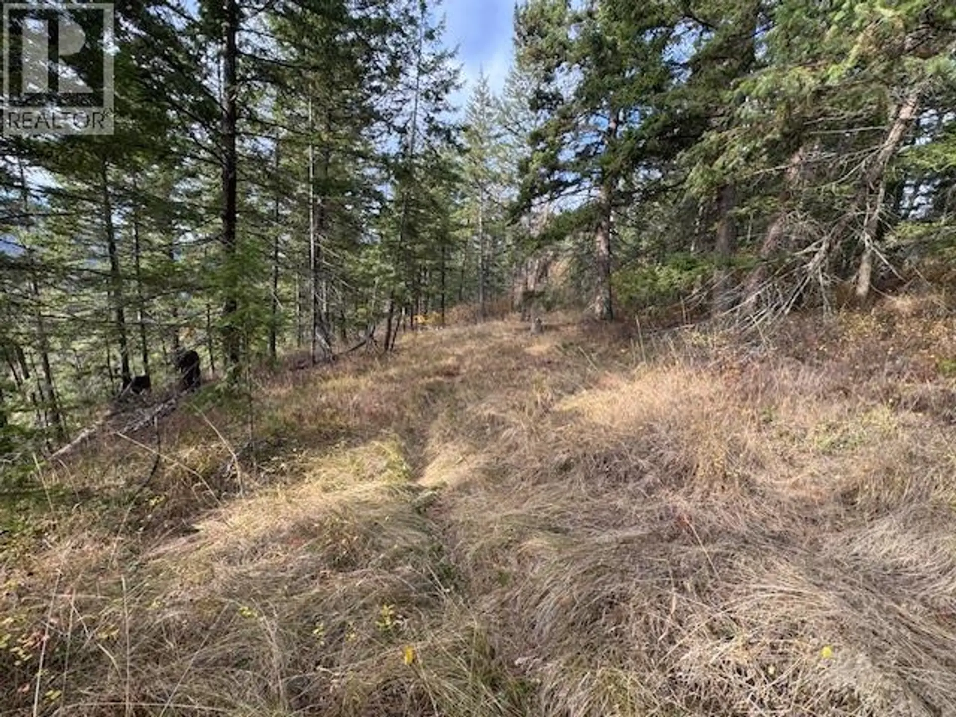 Property at 490 SUMAC ROAD, Tappen, BC