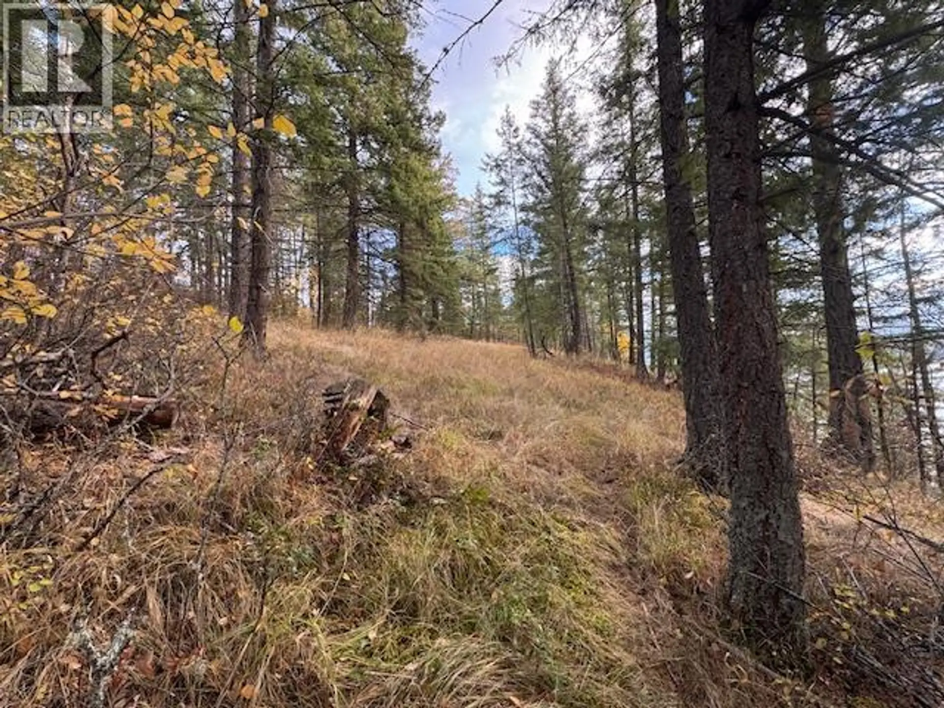 Property at 490 SUMAC ROAD, Tappen, BC