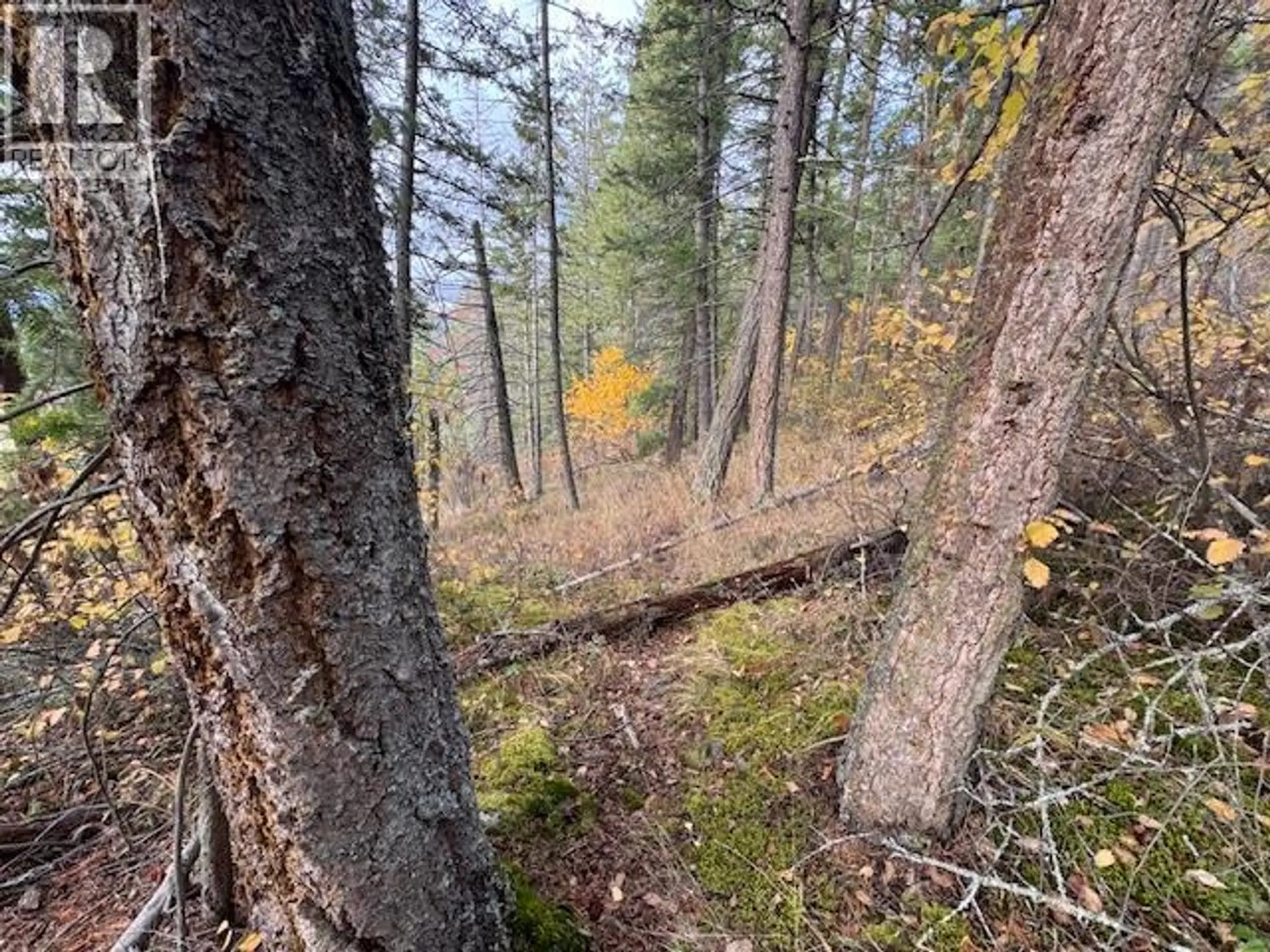 Property at 490 SUMAC ROAD, Tappen, BC