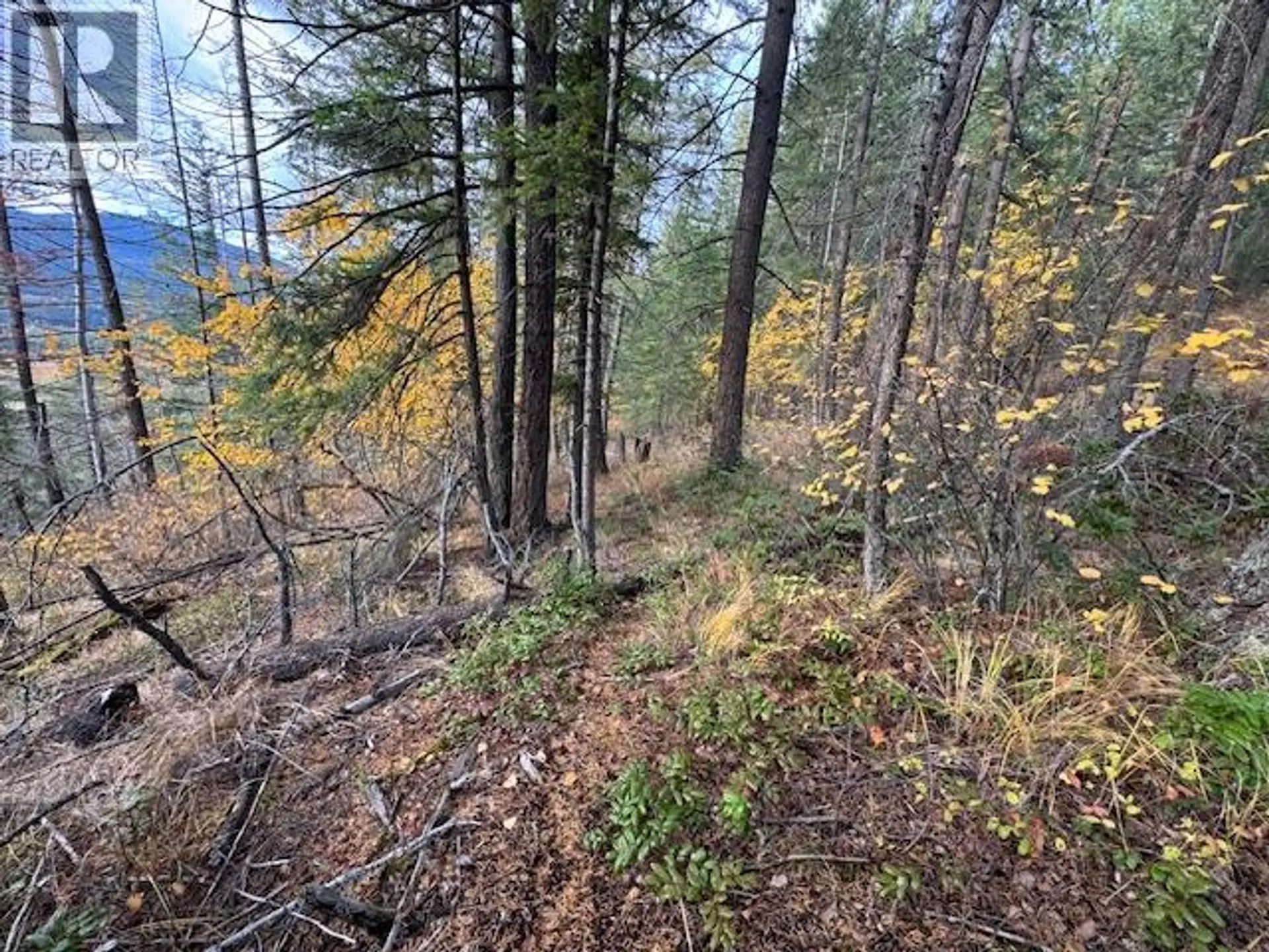 Property at 490 SUMAC ROAD, Tappen, BC