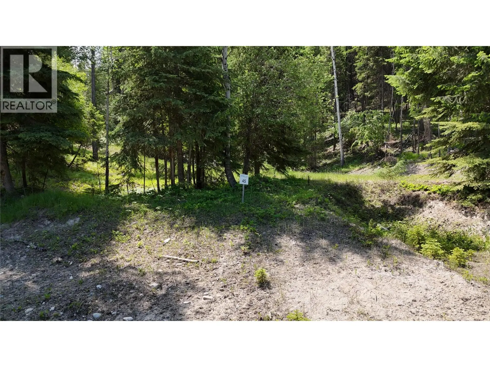 Property at SL45 OSPREY LANDING DRIVE, Wardner, BC