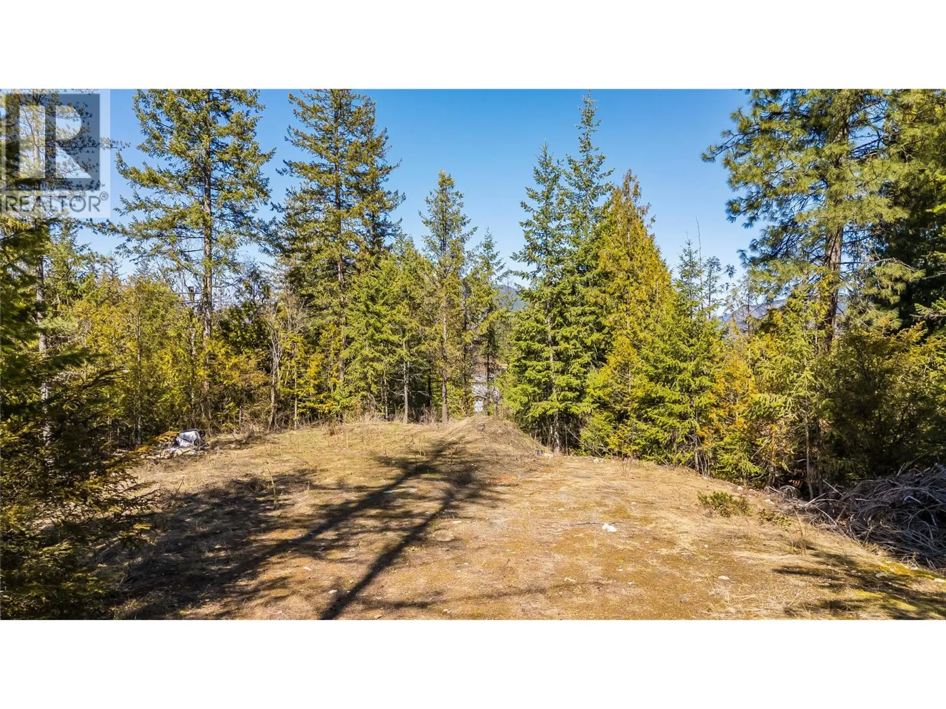 Property at 1428 MEADOWBROOK DRIVE, Castlegar, BC