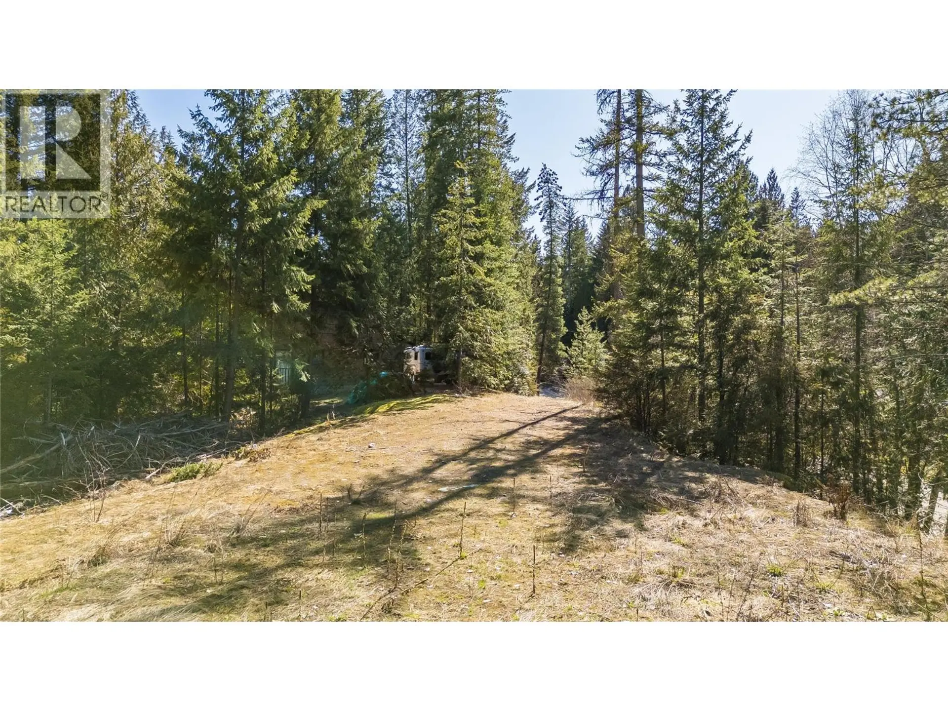 Property at 1428 MEADOWBROOK DRIVE, Castlegar, BC