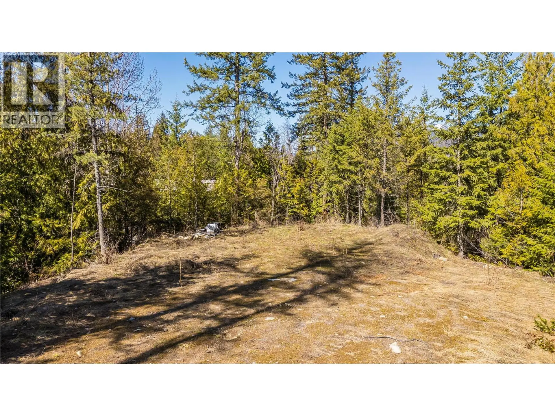 Property at 1428 MEADOWBROOK DRIVE, Castlegar, BC