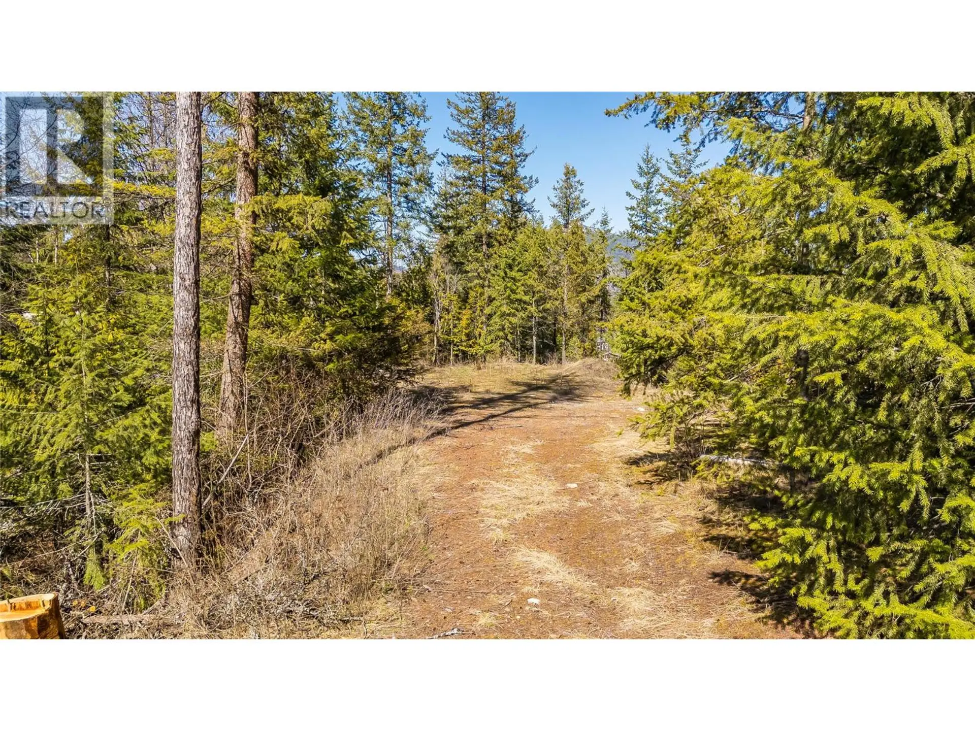 Property at 1428 MEADOWBROOK DRIVE, Castlegar, BC