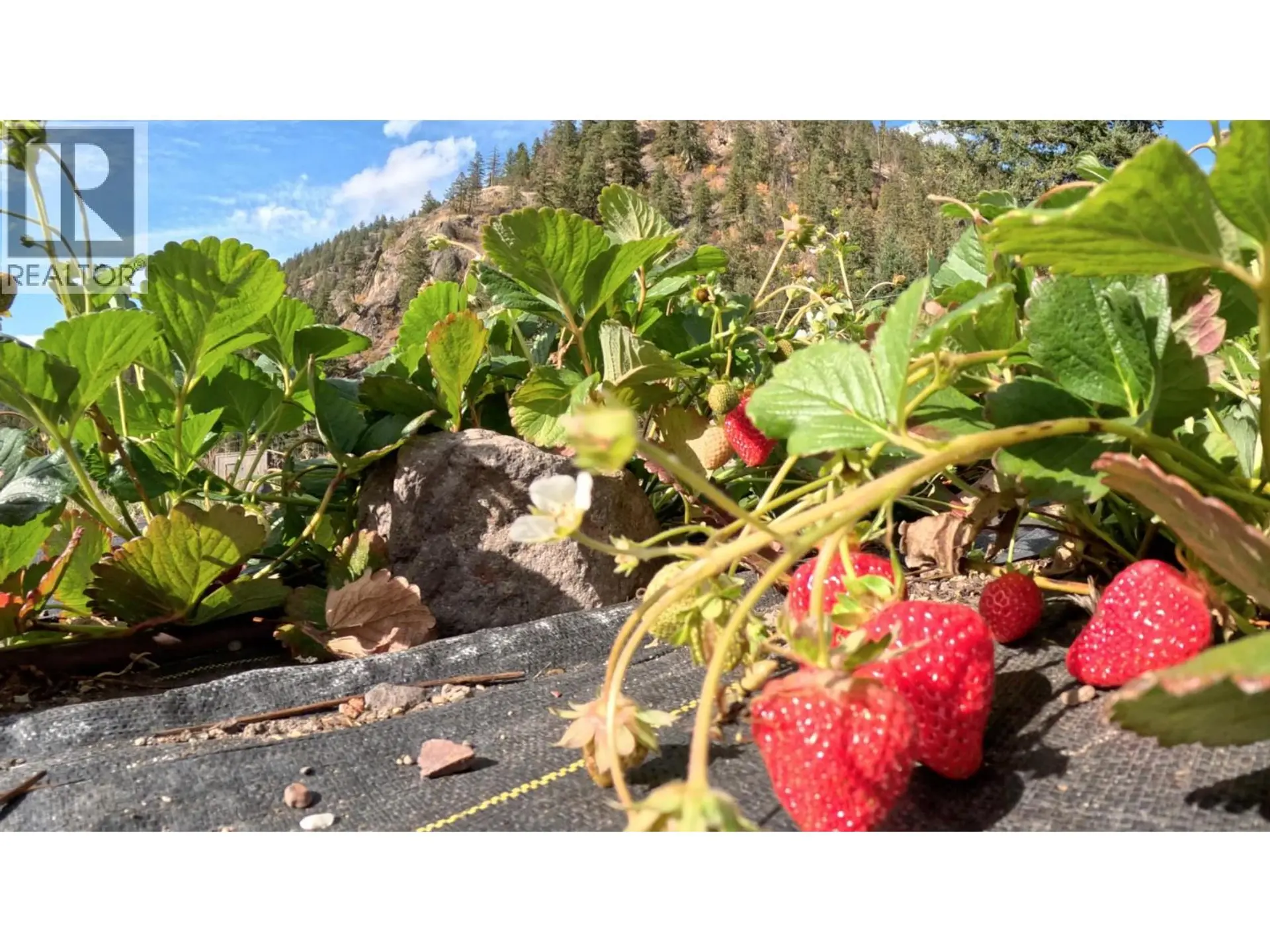 Property at 1618 WHITE LAKE ROAD, Kaleden, BC