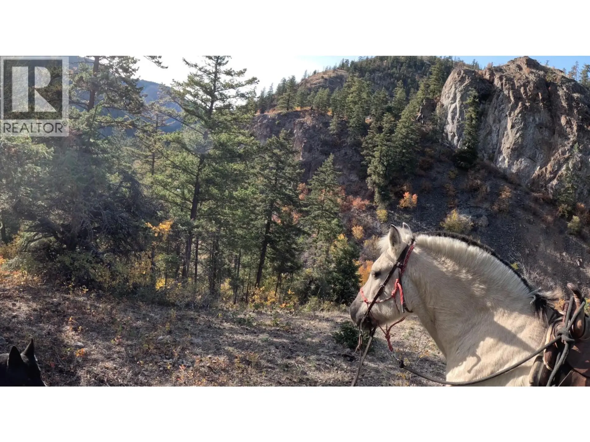 Property at 1618 WHITE LAKE ROAD, Kaleden, BC