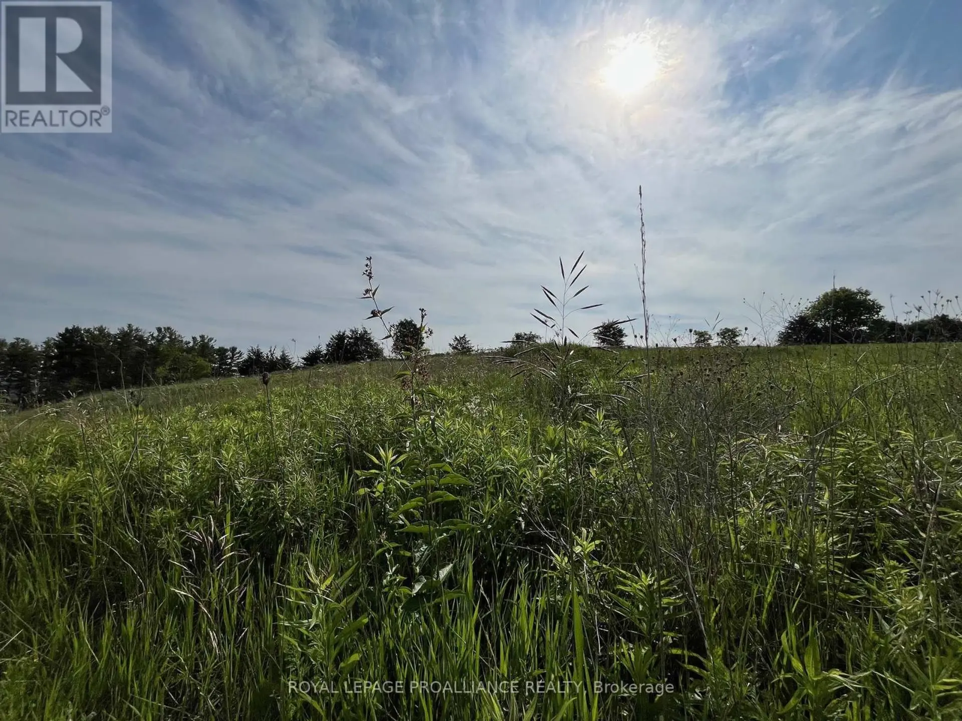 #LOT 3 4836 45 HIGHWAY - Image 4