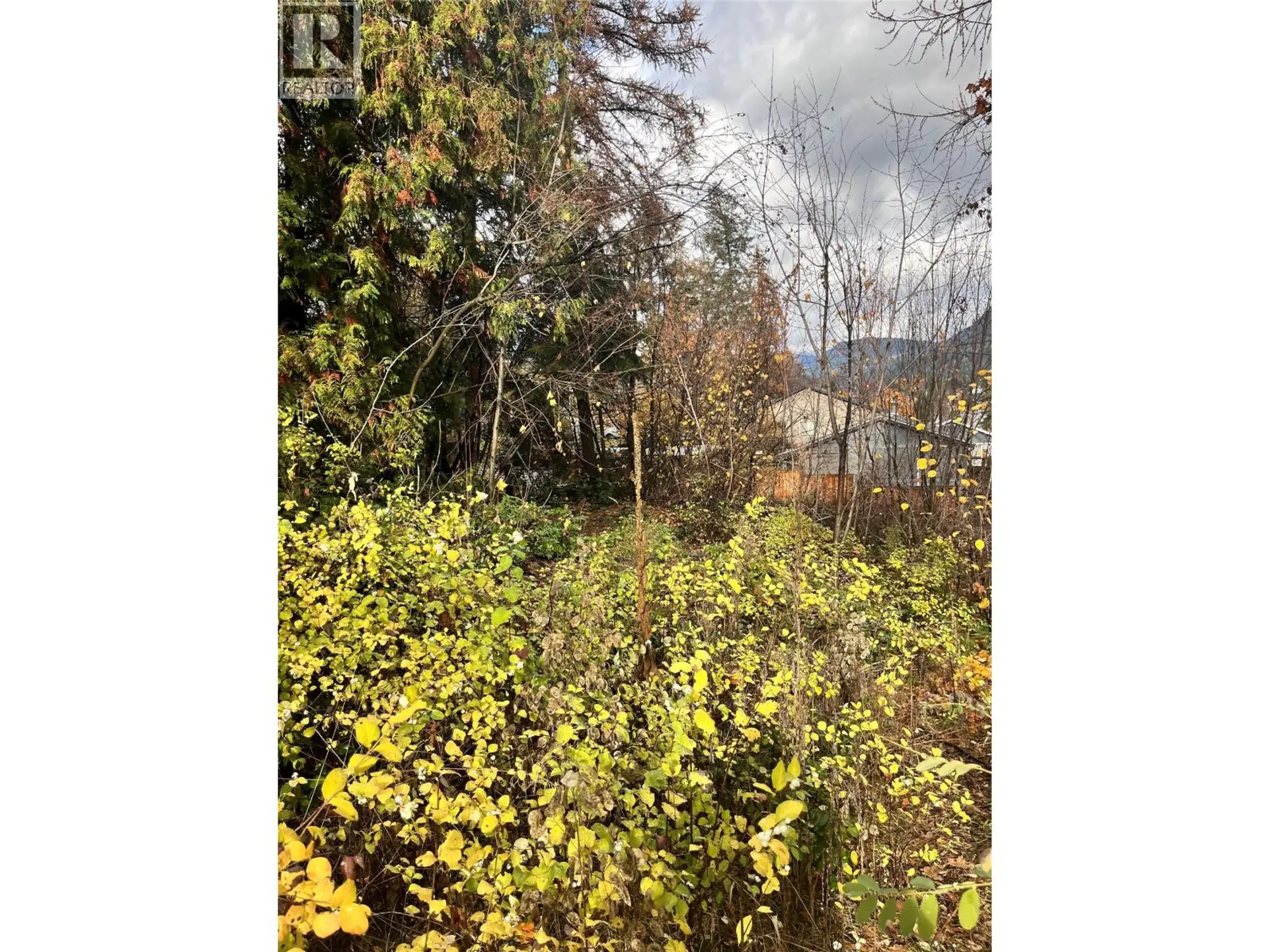 Property at LOT B 9TH AVENUE, Castlegar, BC