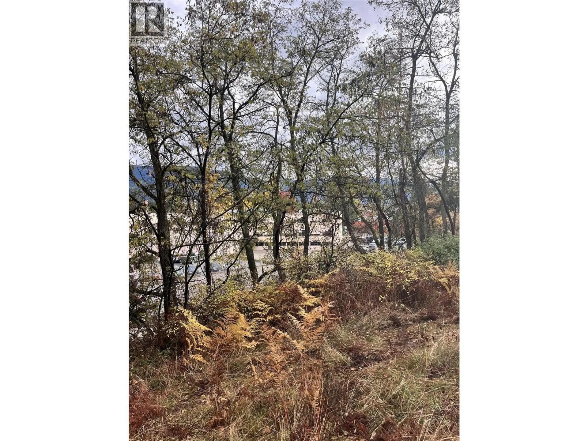 Property at LOT B 9TH AVENUE, Castlegar, BC