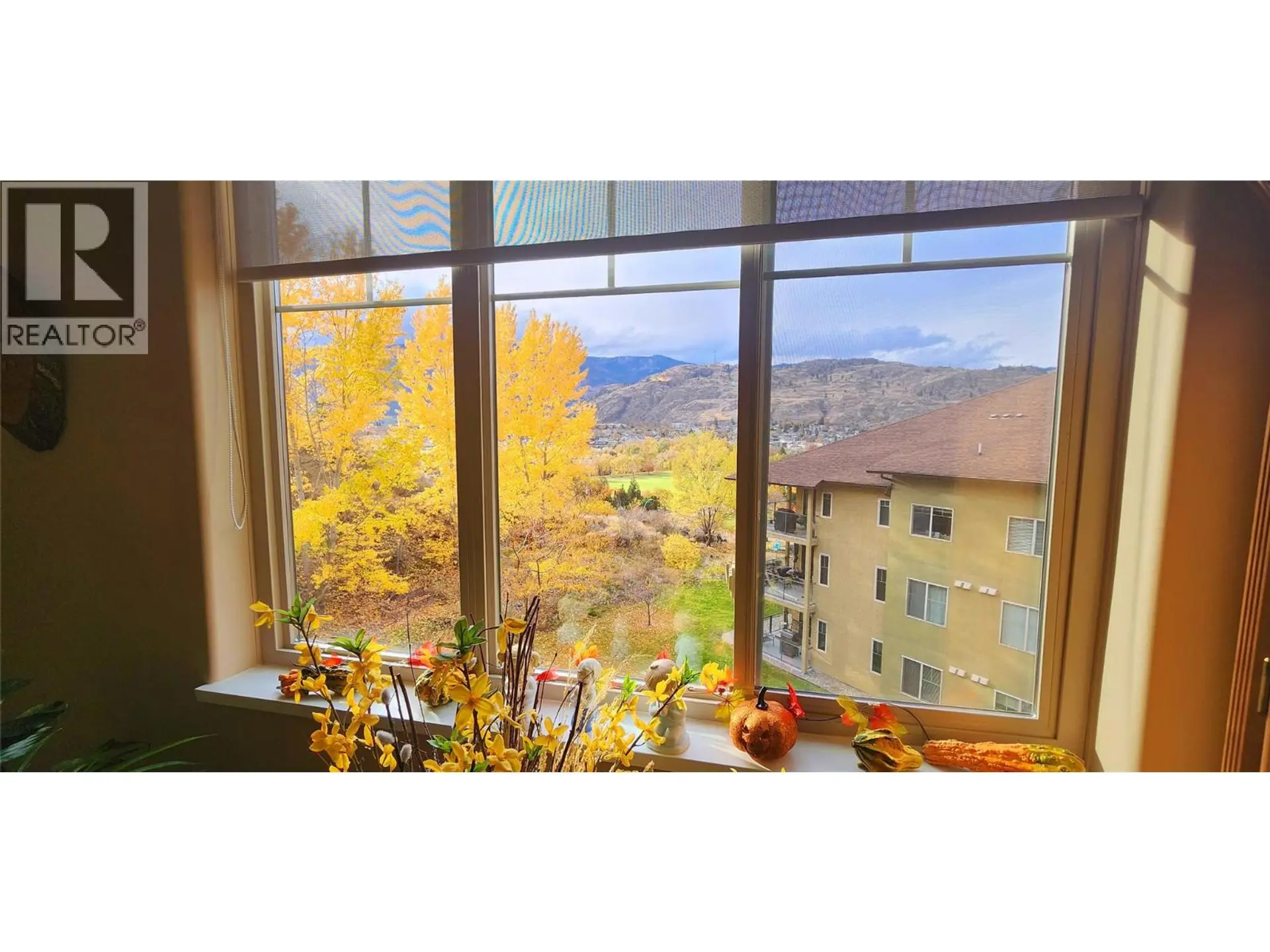 Property at #306B 921 SPILLWAY ROAD, Oliver, BC