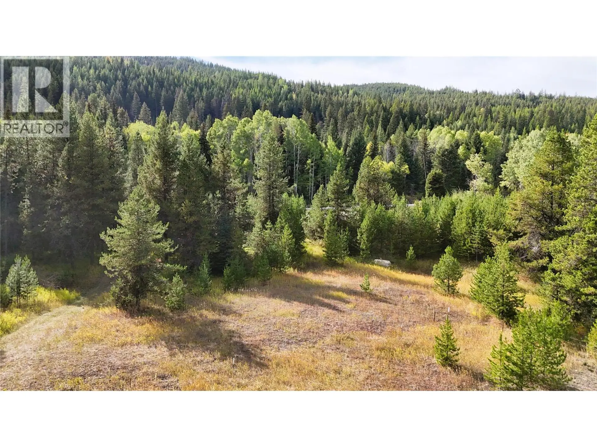 Property at CLARK CREEK ROAD LOT# 17, Carmi, BC