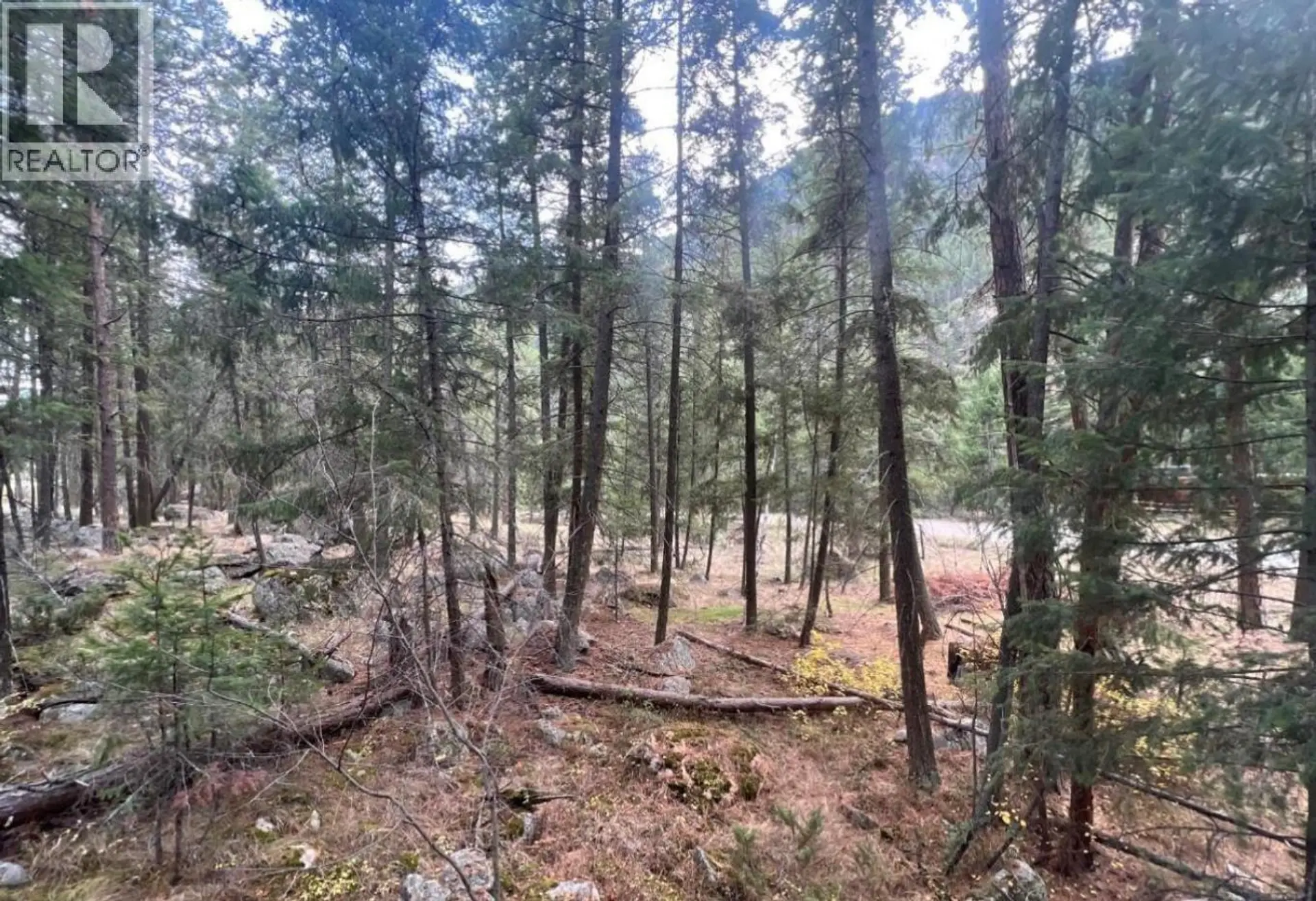 Property at 2267 OLD HEDLEY ROAD, Princeton, BC