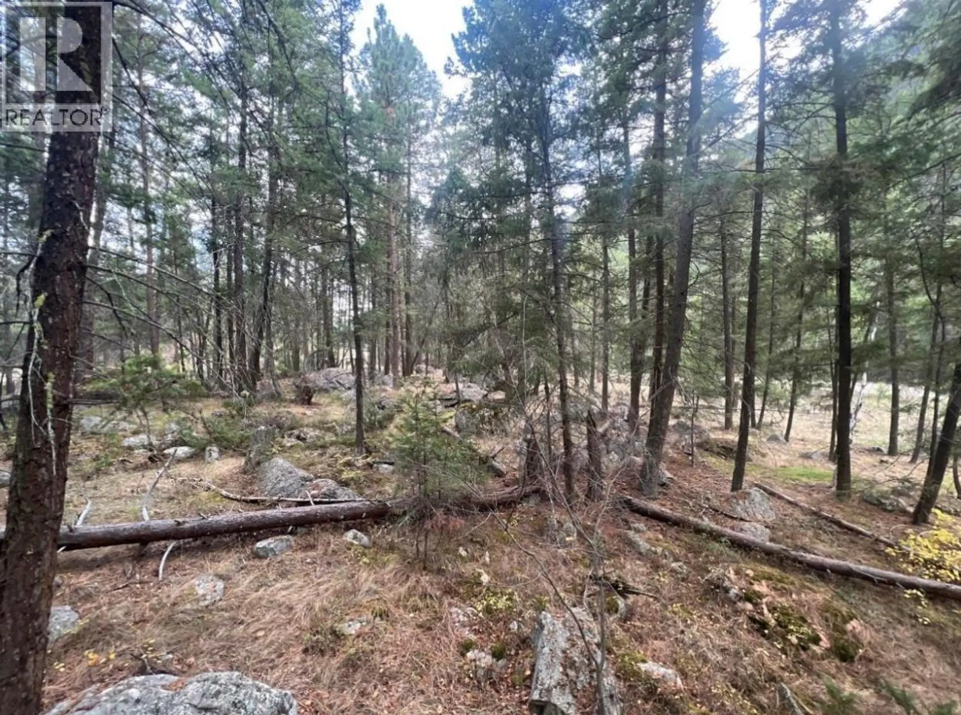 Property at 2267 OLD HEDLEY ROAD, Princeton, BC