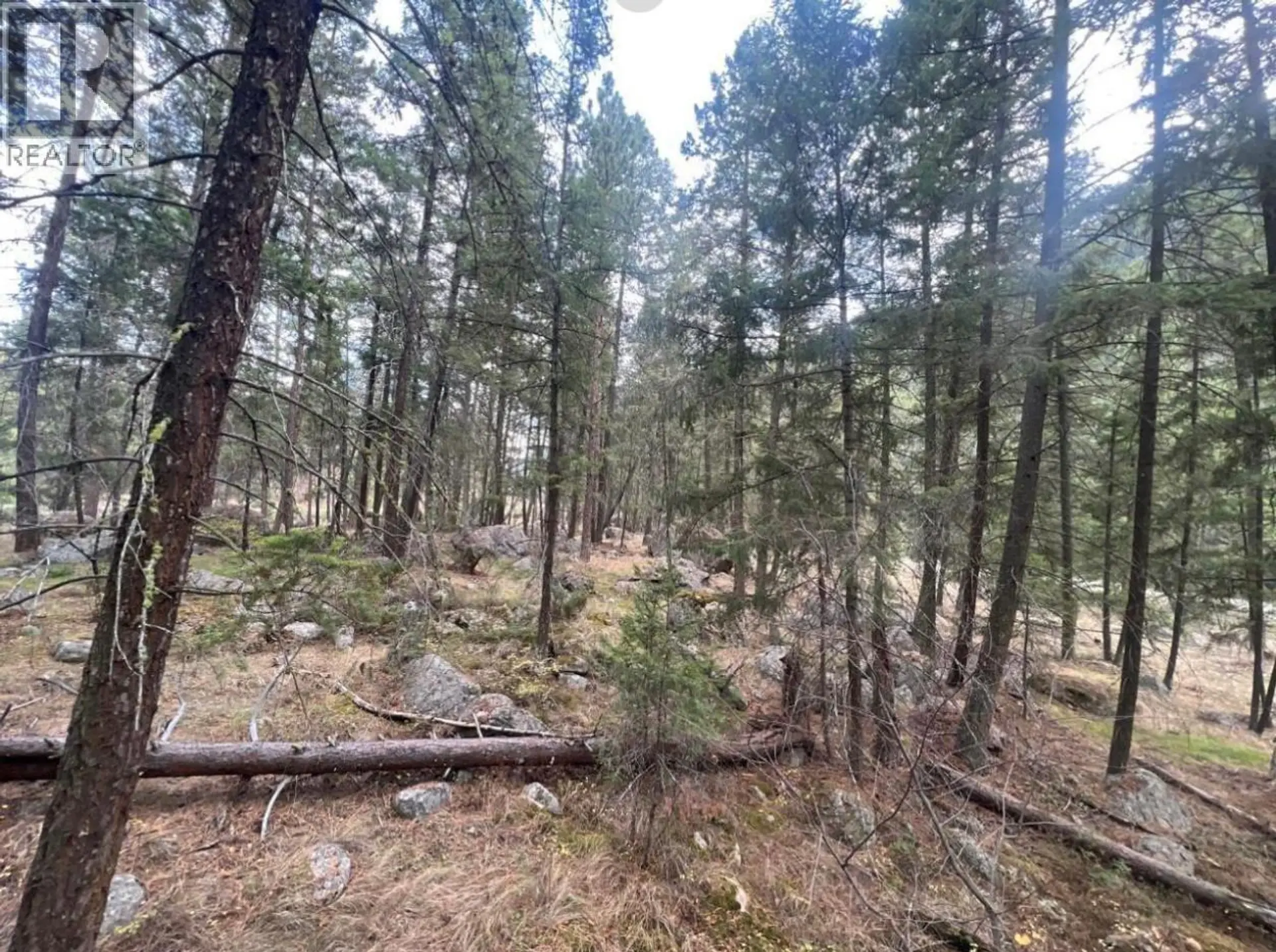 Property at 2267 OLD HEDLEY ROAD, Princeton, BC