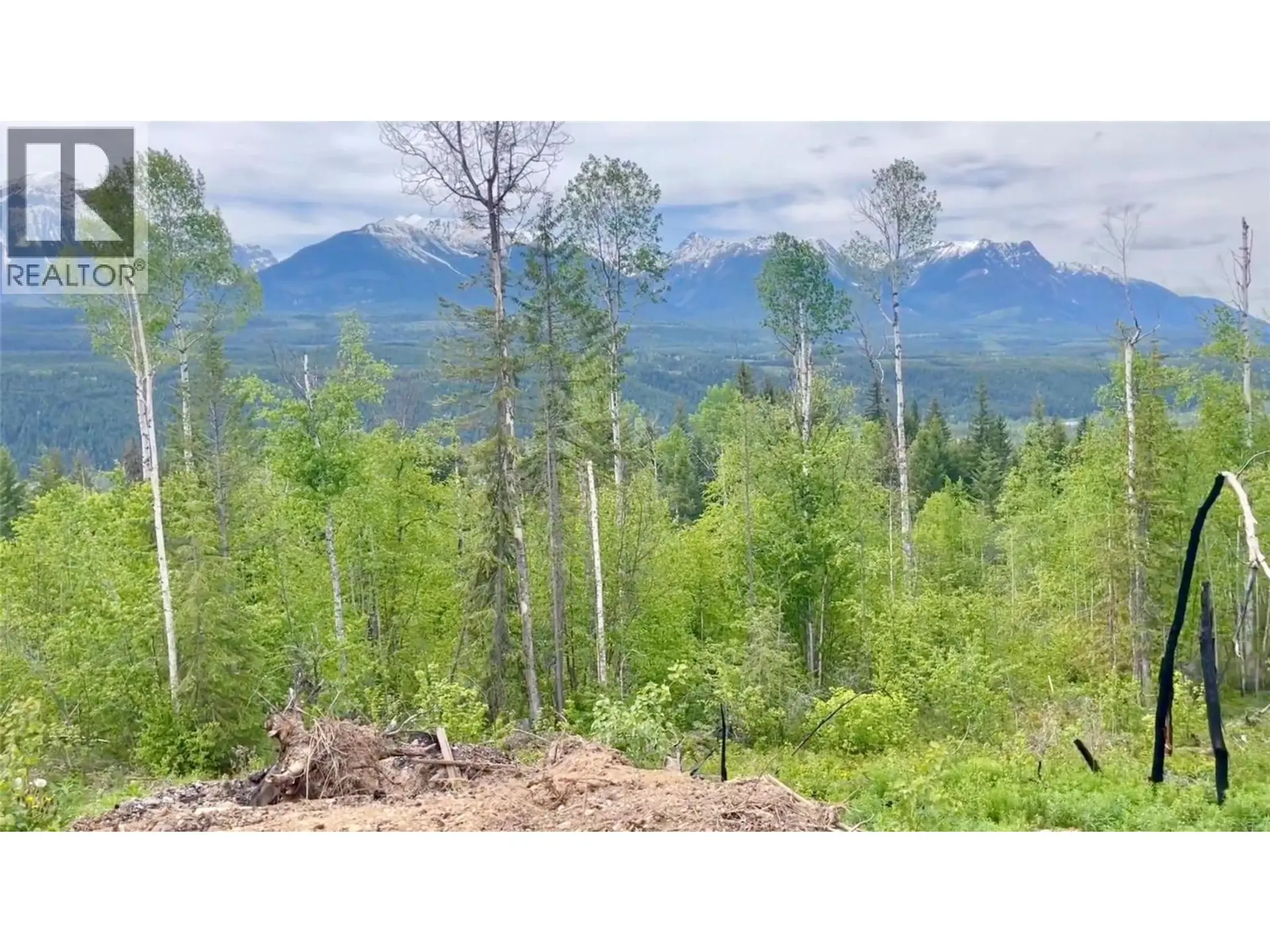 Property at LS15 ADOLPH JOHNSON ROAD, Golden, BC