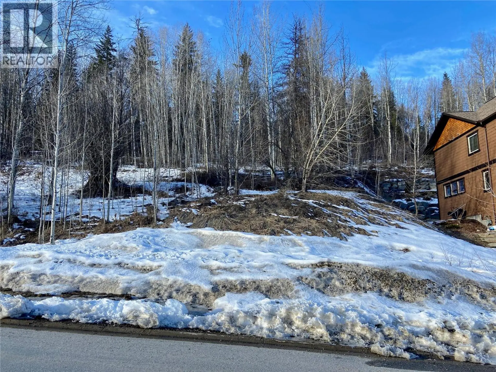 Property at 1018 SILVERTIP ROAD, Rossland, BC
