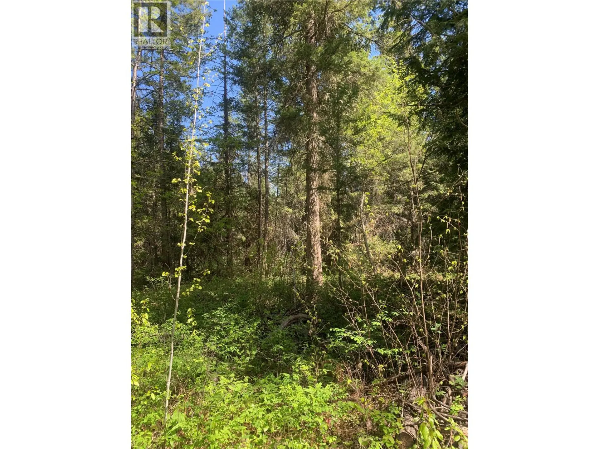 Property at LOT A SQUILAX-ANGLEMONT ROAD, Lee Creek, BC