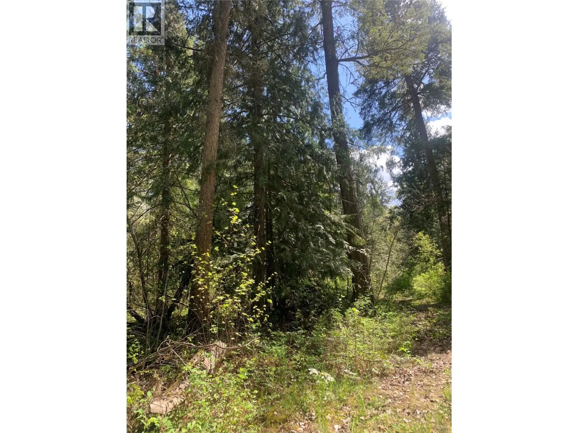 Property at LOT A SQUILAX-ANGLEMONT ROAD, Lee Creek, BC