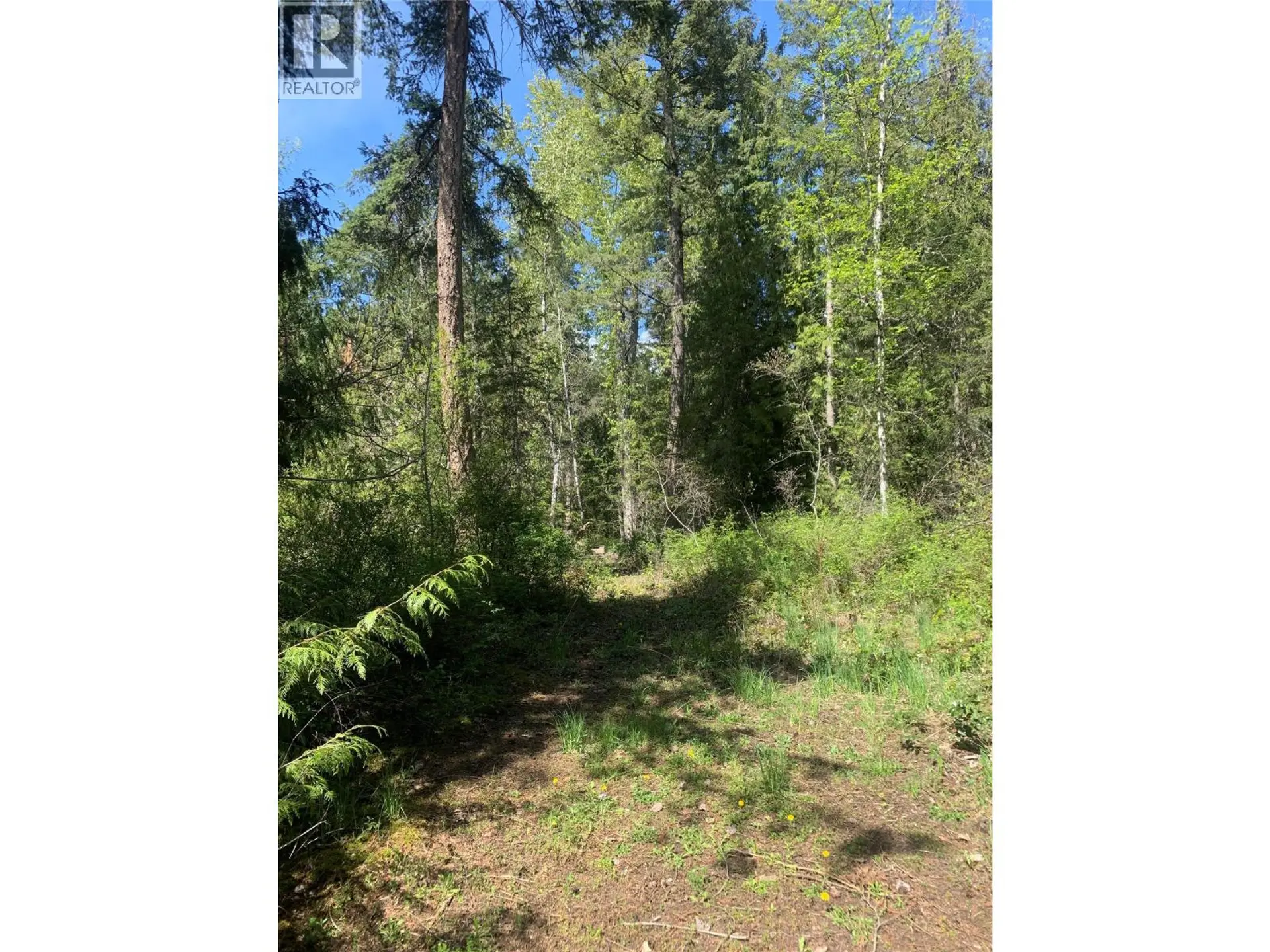 Property at LOT A SQUILAX-ANGLEMONT ROAD, Lee Creek, BC