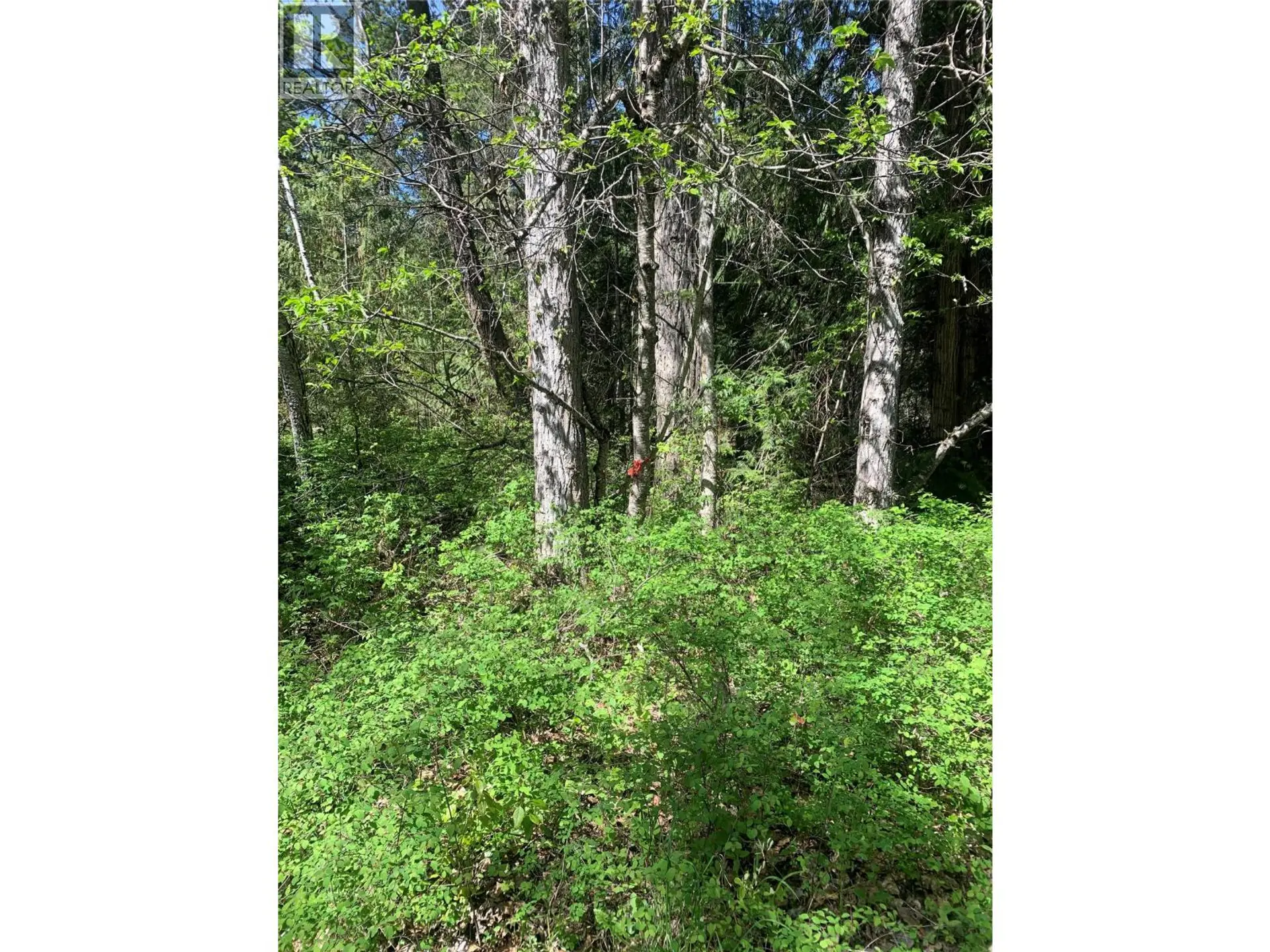 Property at LOT A SQUILAX-ANGLEMONT ROAD, Lee Creek, BC