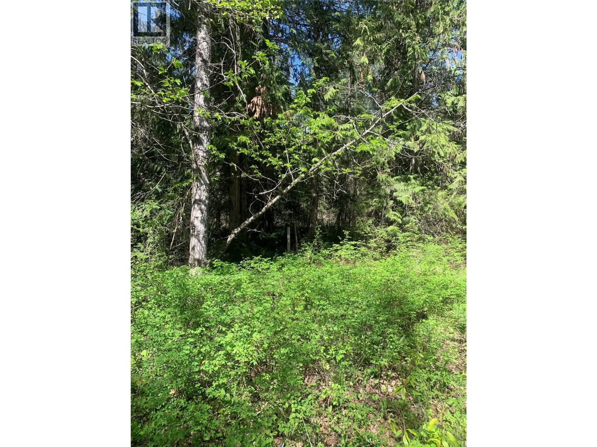 Property at LOT A SQUILAX-ANGLEMONT ROAD, Lee Creek, BC