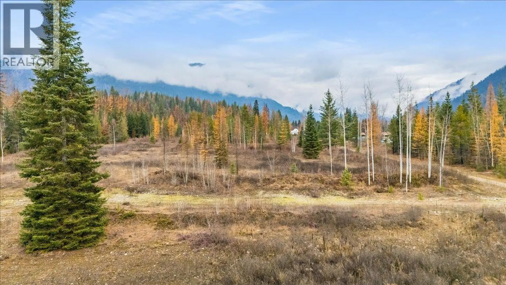 Property at LOT B HENDERSON AVENUE, Salmo, BC