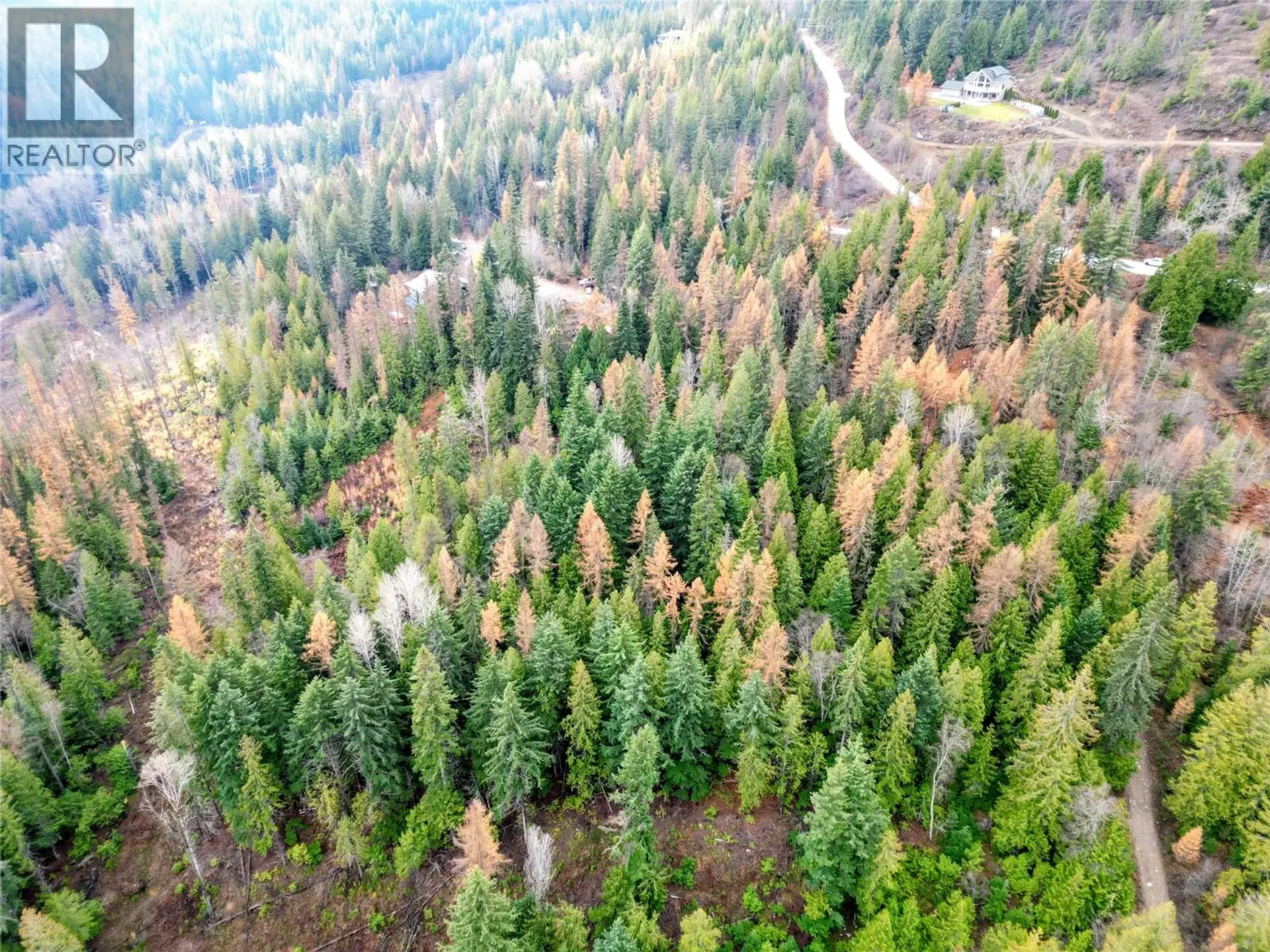 Property at 766 DRAKES ROAD, Rossland, BC