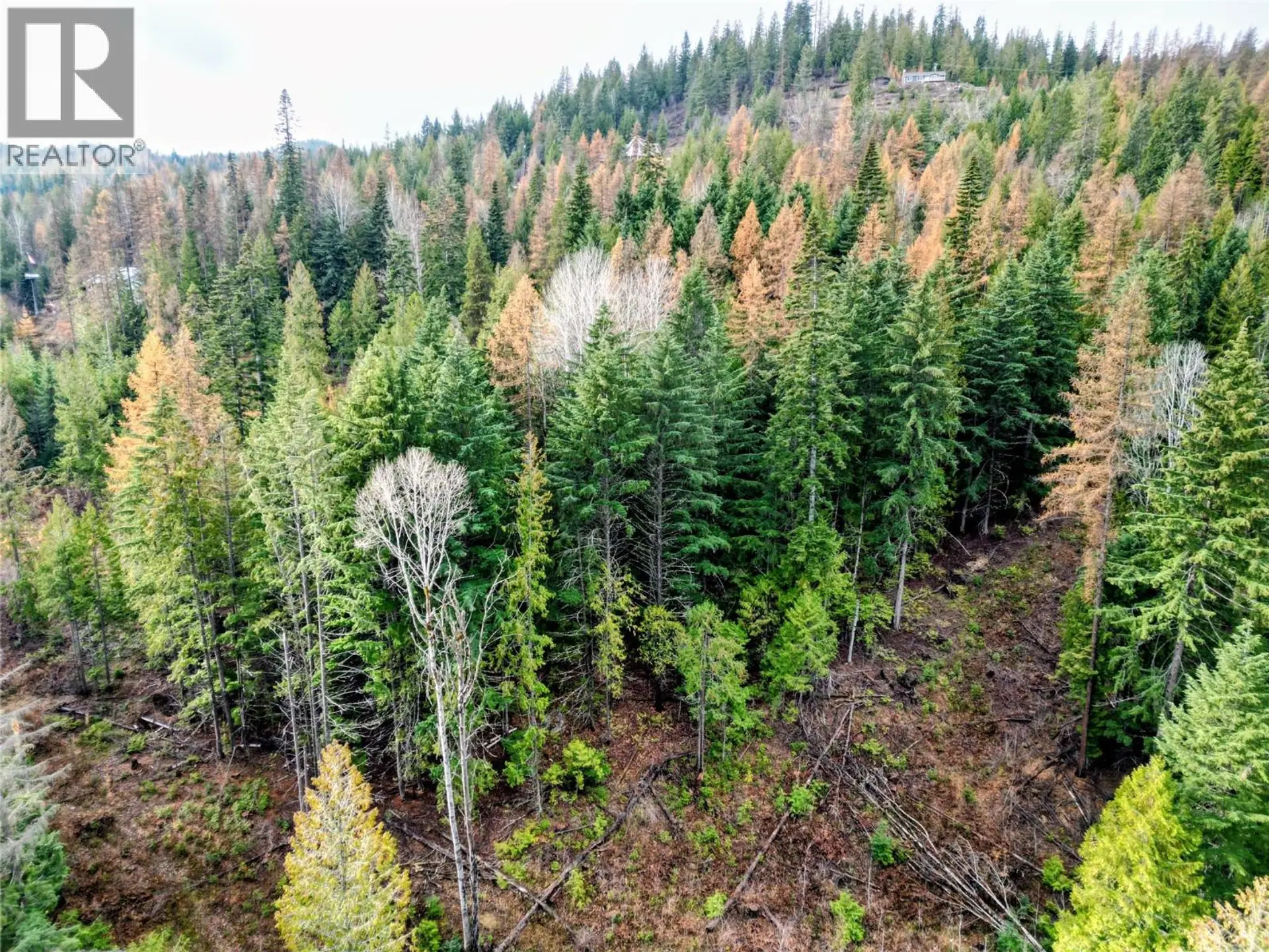 Property at 766 DRAKES ROAD, Rossland, BC