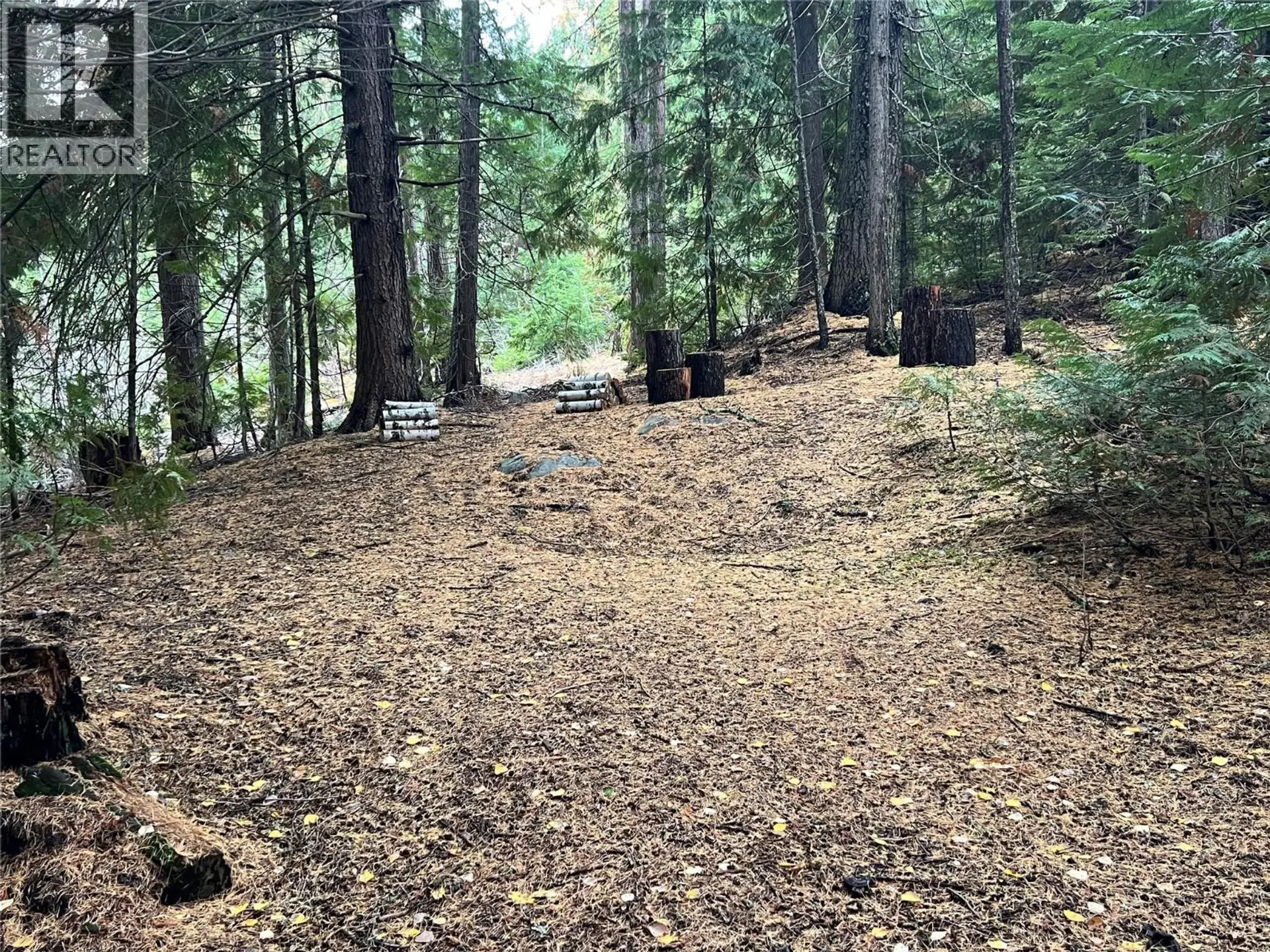 Property at 766 DRAKES ROAD, Rossland, BC