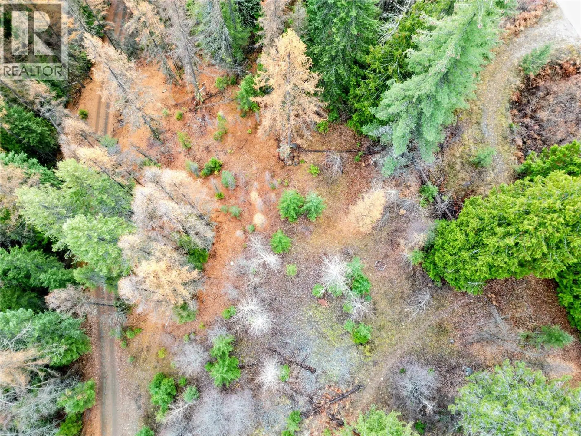 Property at 766 DRAKES ROAD, Rossland, BC