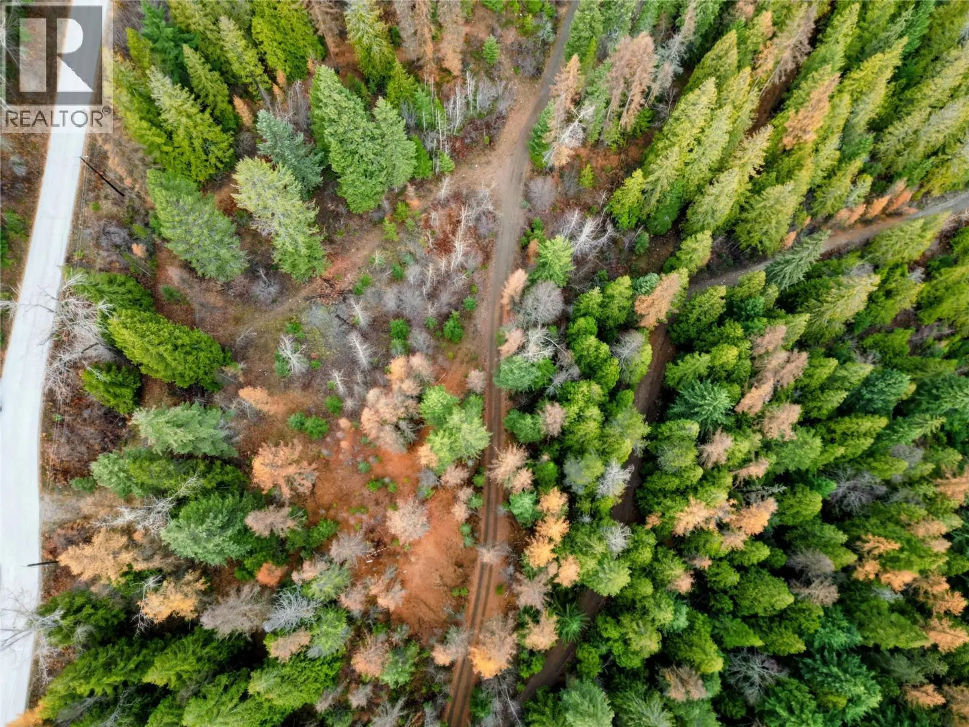 Property at 766 DRAKES ROAD, Rossland, BC