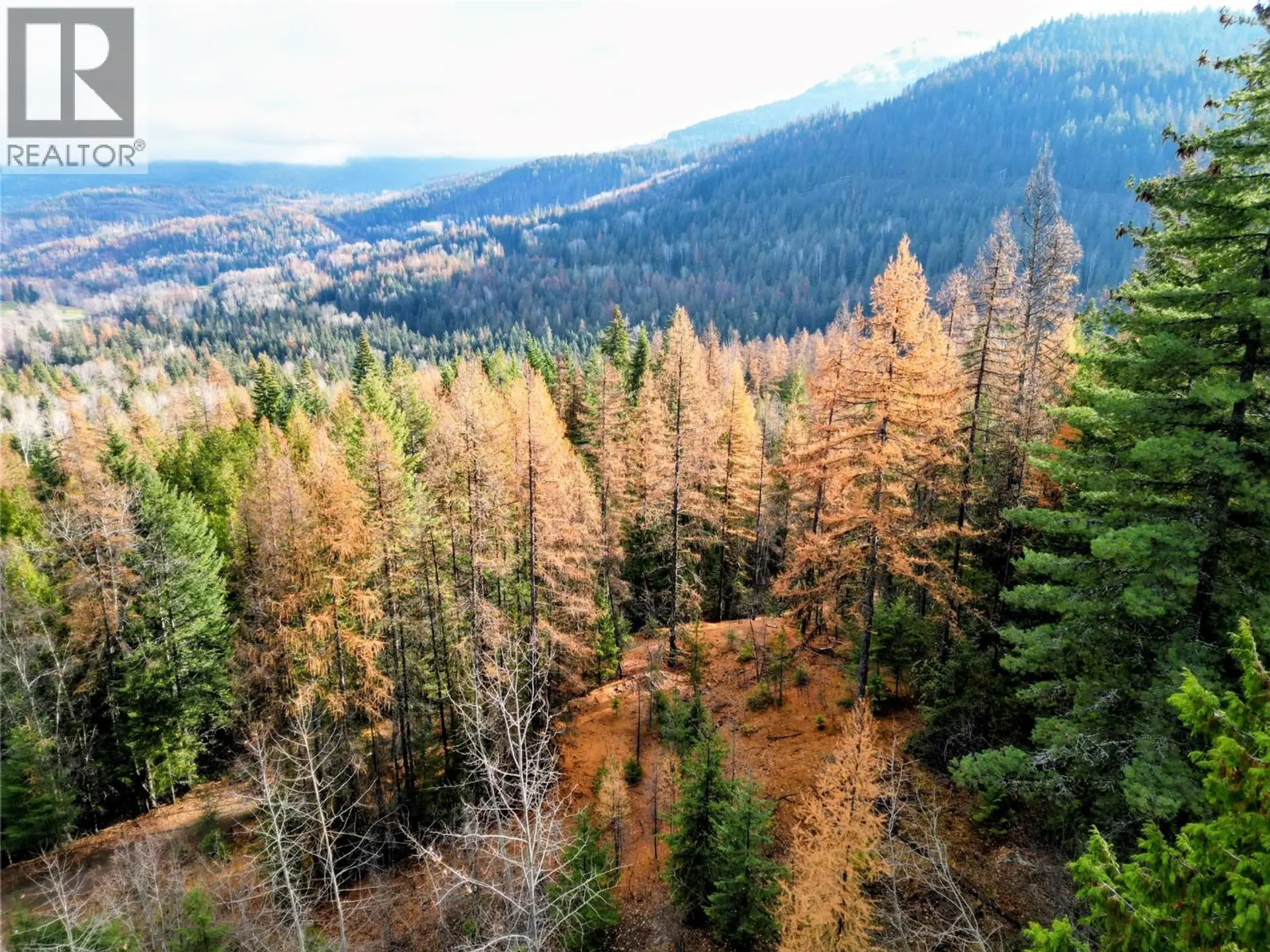 Property at 766 DRAKES ROAD, Rossland, BC